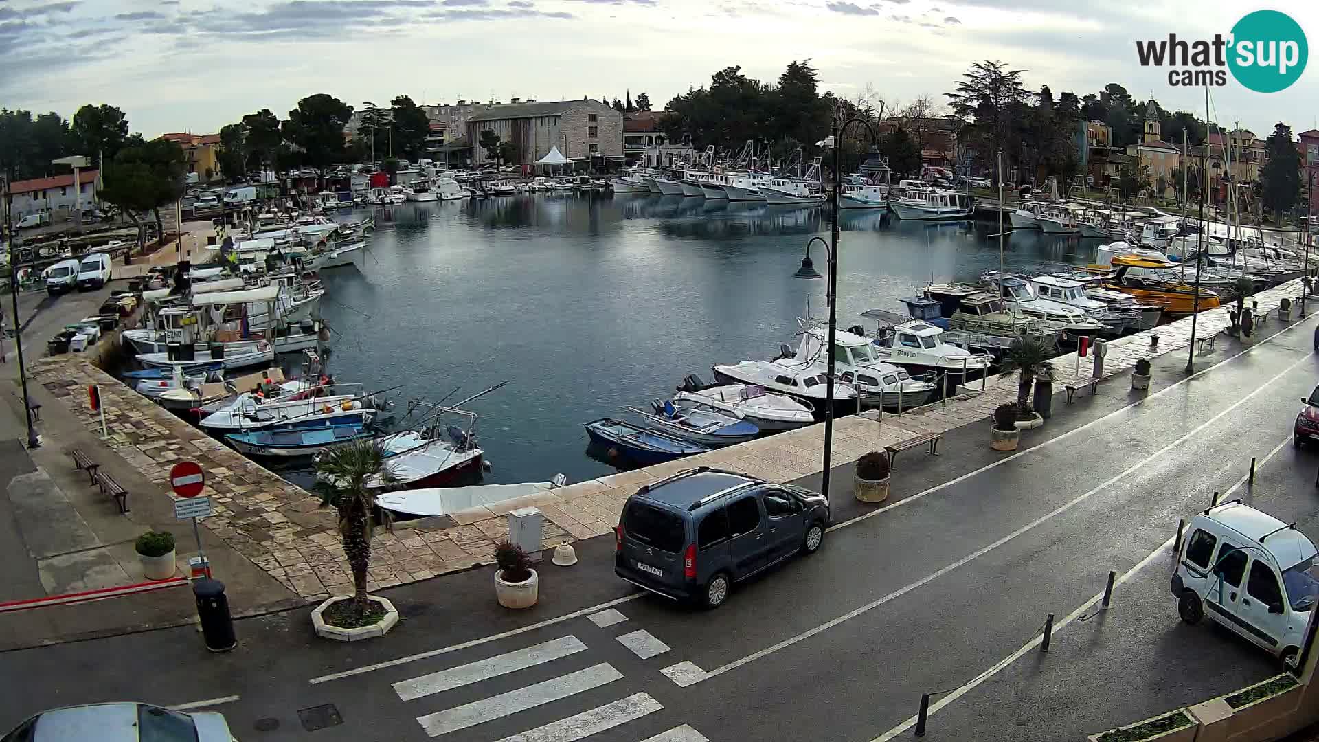 Novigrad –  Mandrač