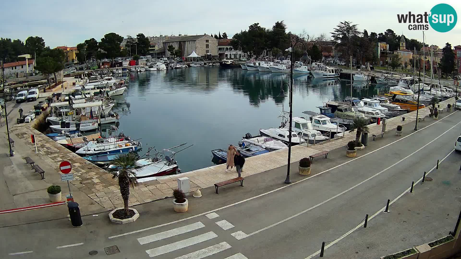 Novigrad webcam Mandrač | Cittanova in Istria – Porto vecchio