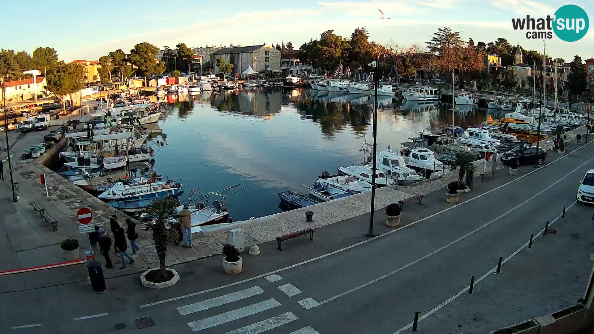 Novigrad webcam Mandrač | Cittanova in Istria – Porto vecchio