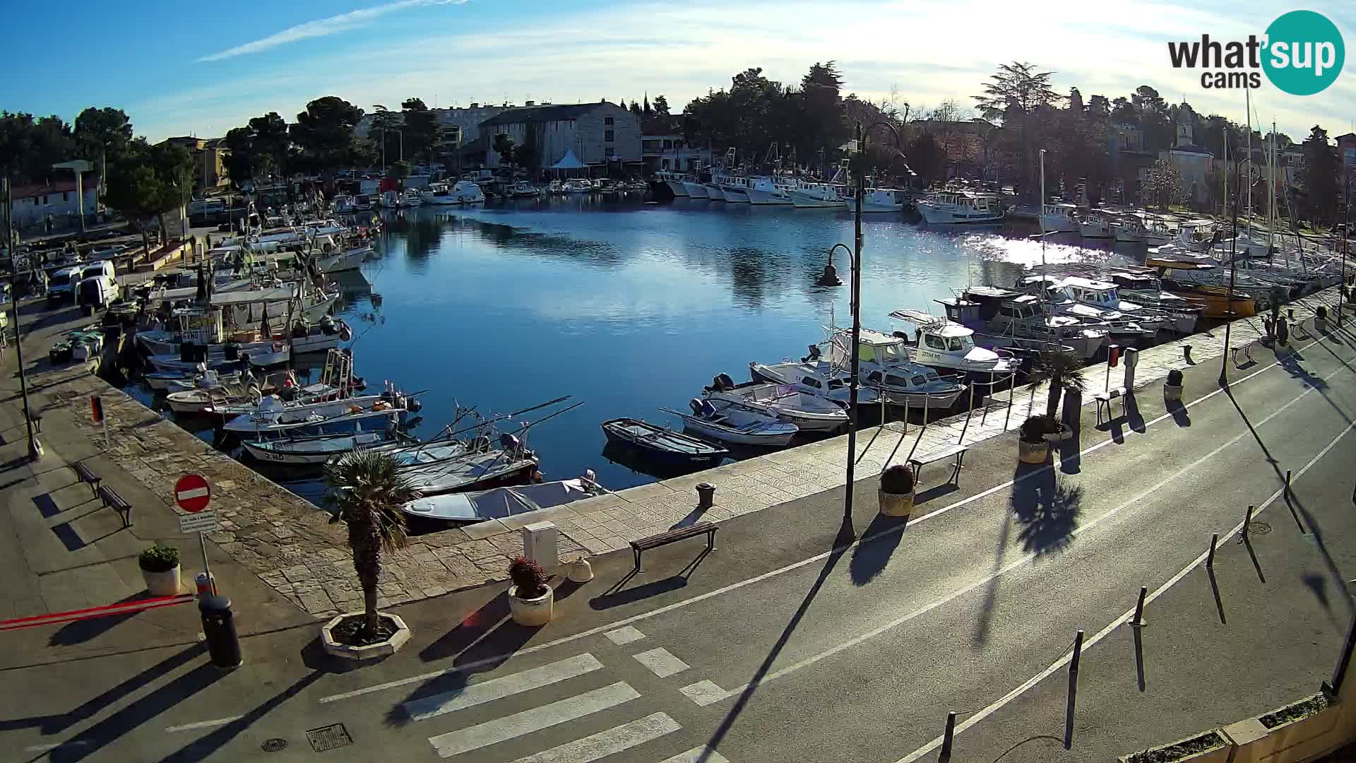 Novigrad webcam Mandrač | old marina – Istria