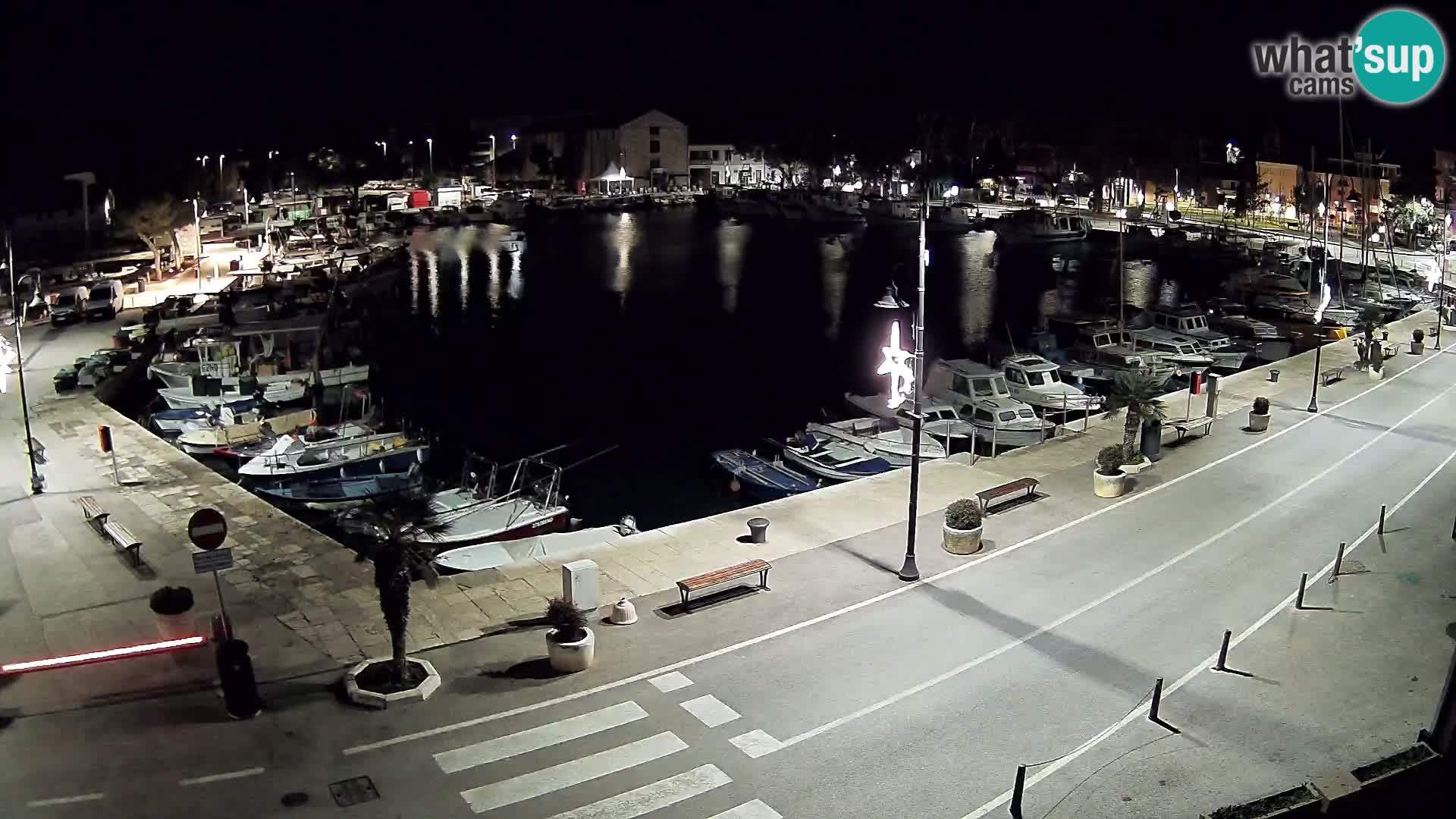 Novigrad webcam Mandrač | Cittanova in Istria – Porto vecchio