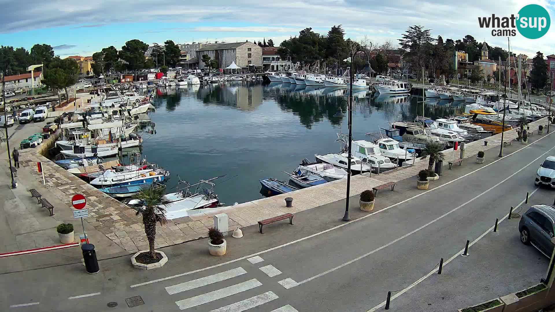 Novigrad webcam Mandrač | old marina – Istria