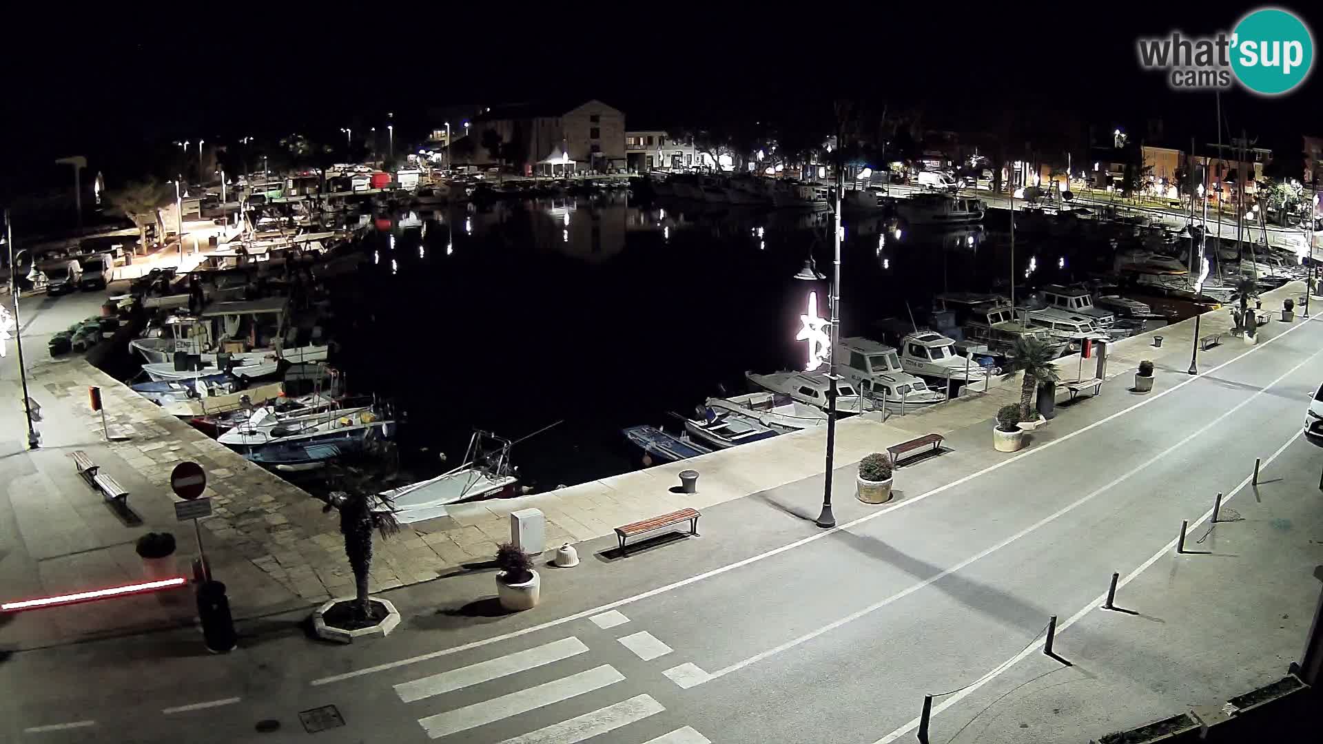 Novigrad webcam Mandrač | old marina – Istria