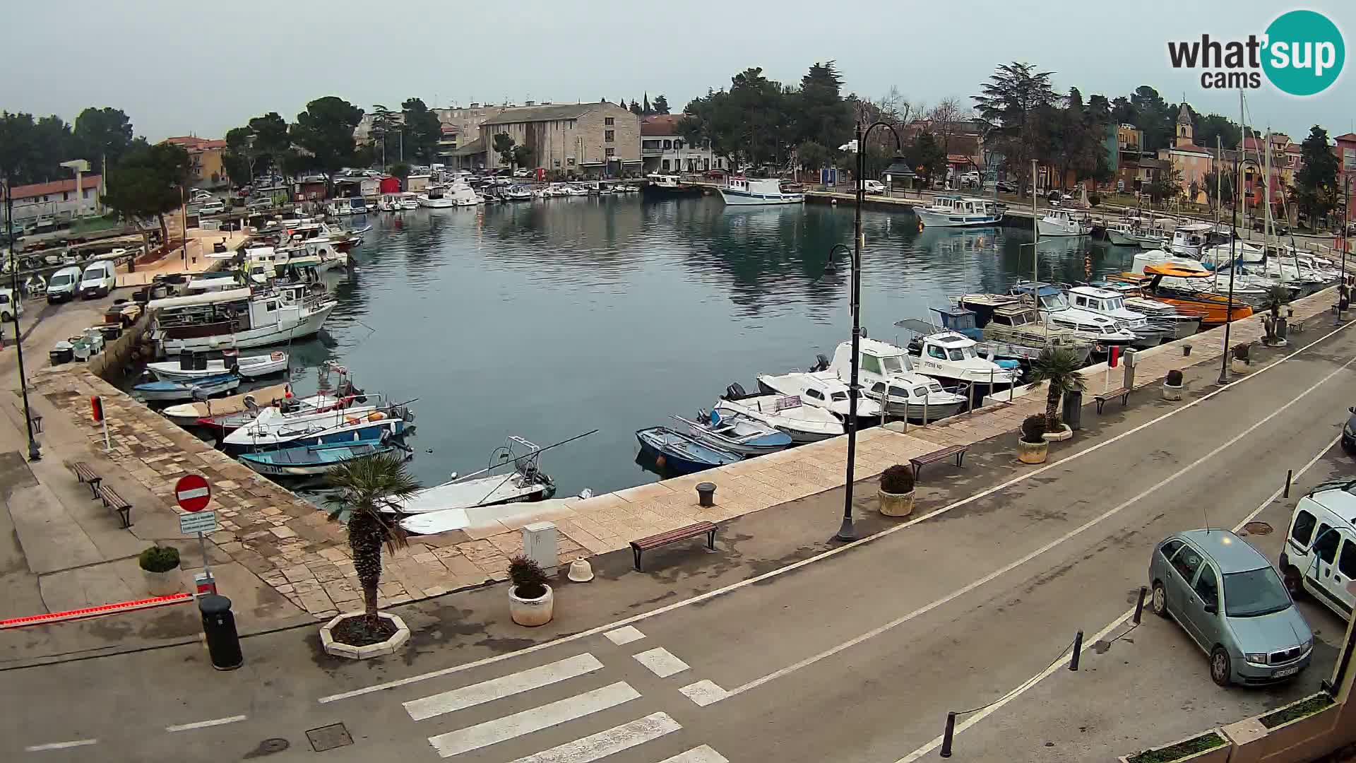 Novigrad webcam Mandrač | alten Hafen – Istrien