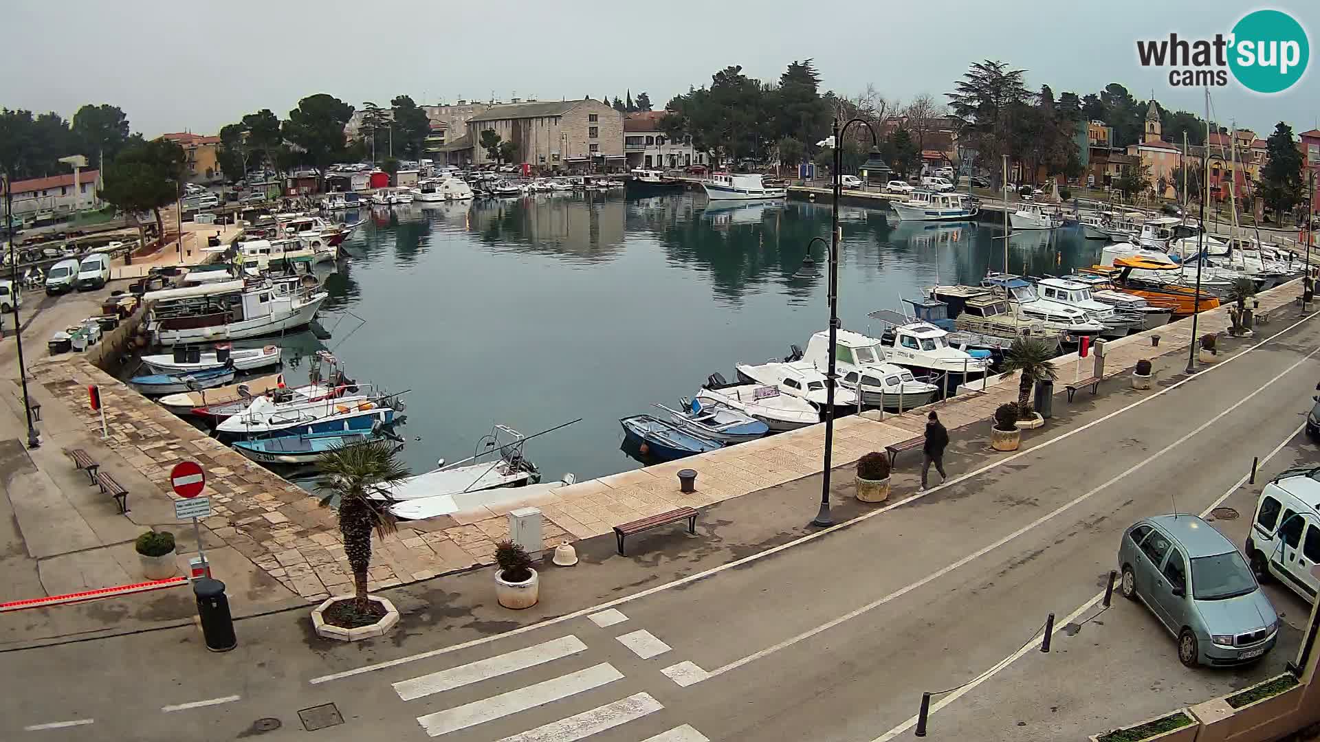 Novigrad webcam Mandrač | Cittanova in Istria – Porto vecchio