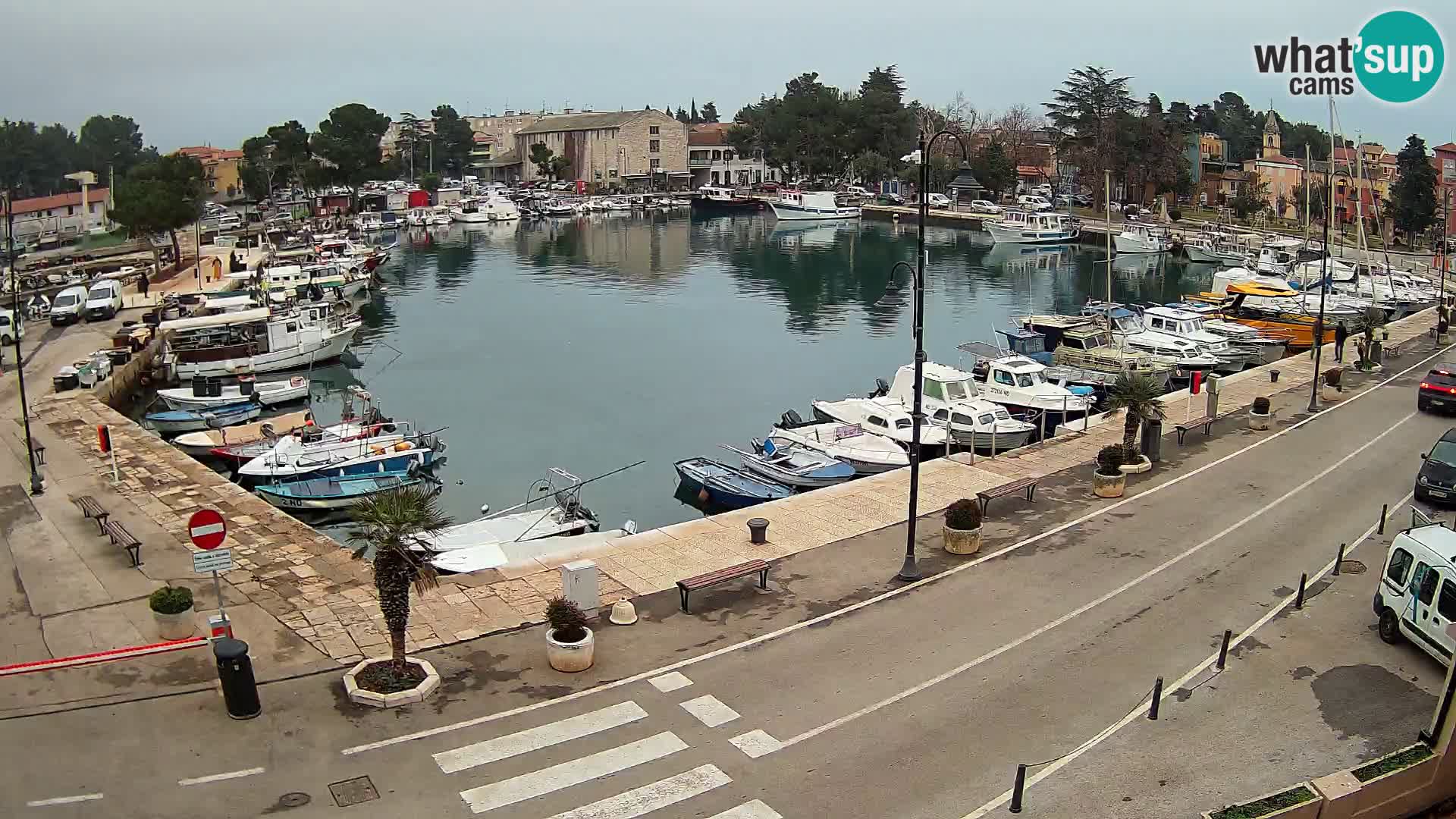 Novigrad webcam Mandrač | Cittanova in Istria – Porto vecchio