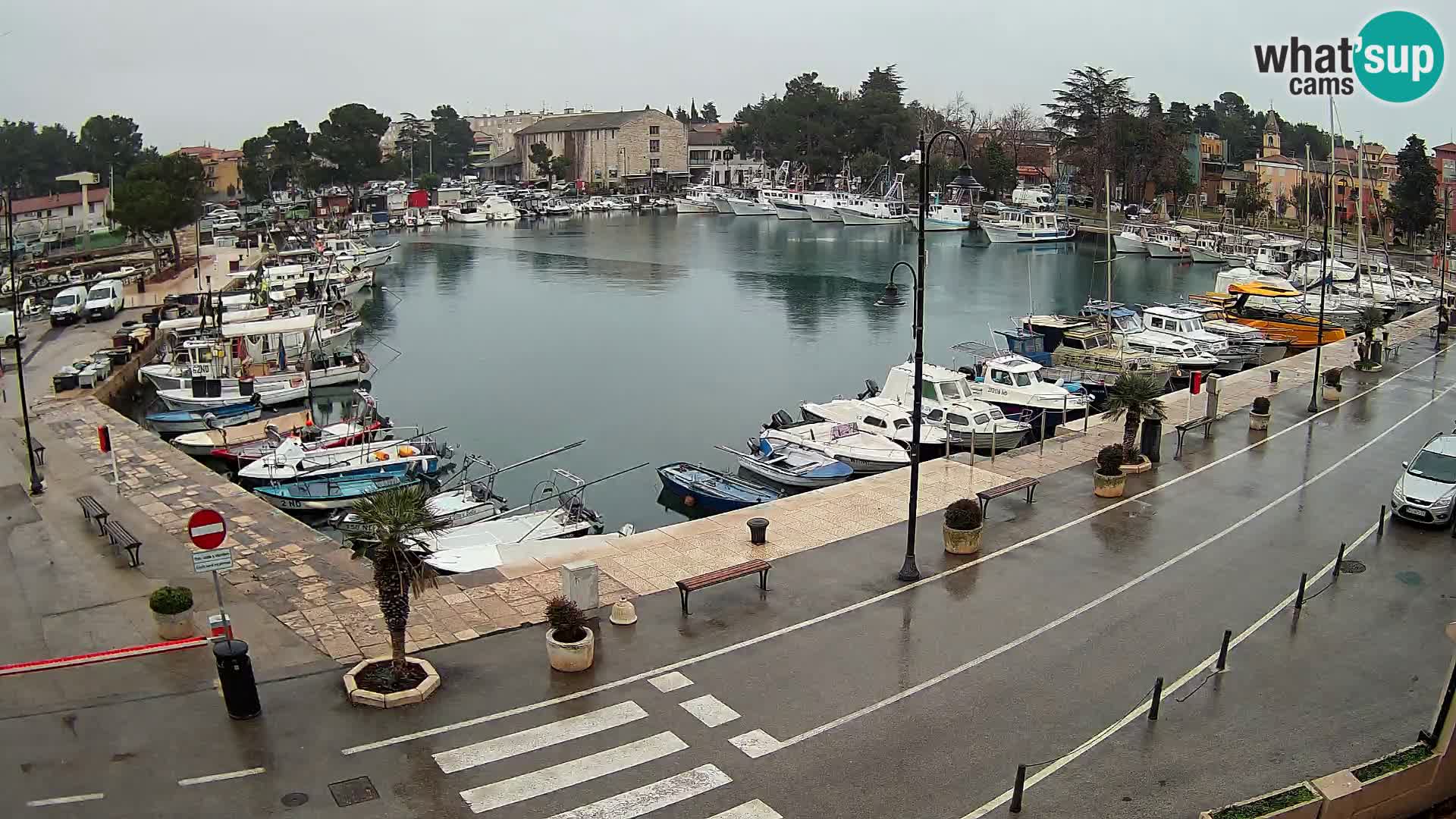 Novigrad webcam Mandrač | Cittanova in Istria – Porto vecchio