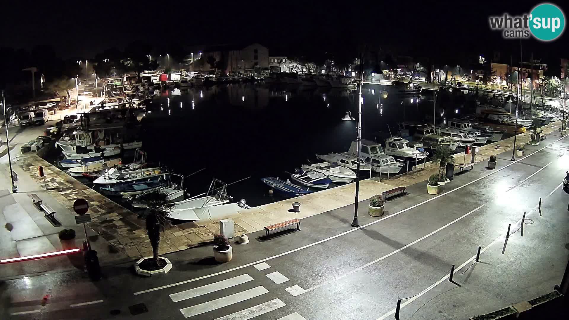 Novigrad webcam Mandrač | Cittanova in Istria – Porto vecchio