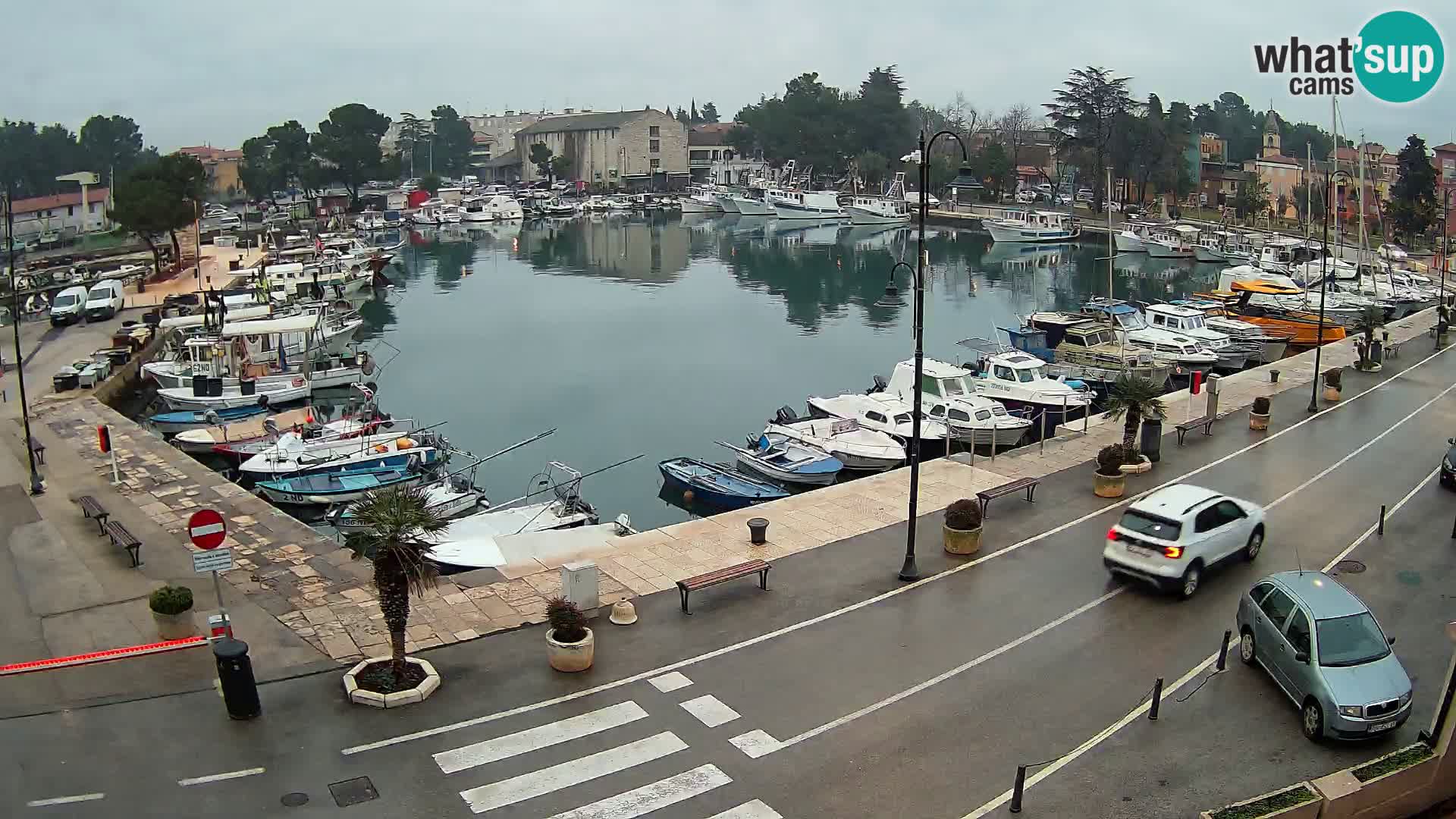 Novigrad webcam Mandrač | Cittanova in Istria – Porto vecchio