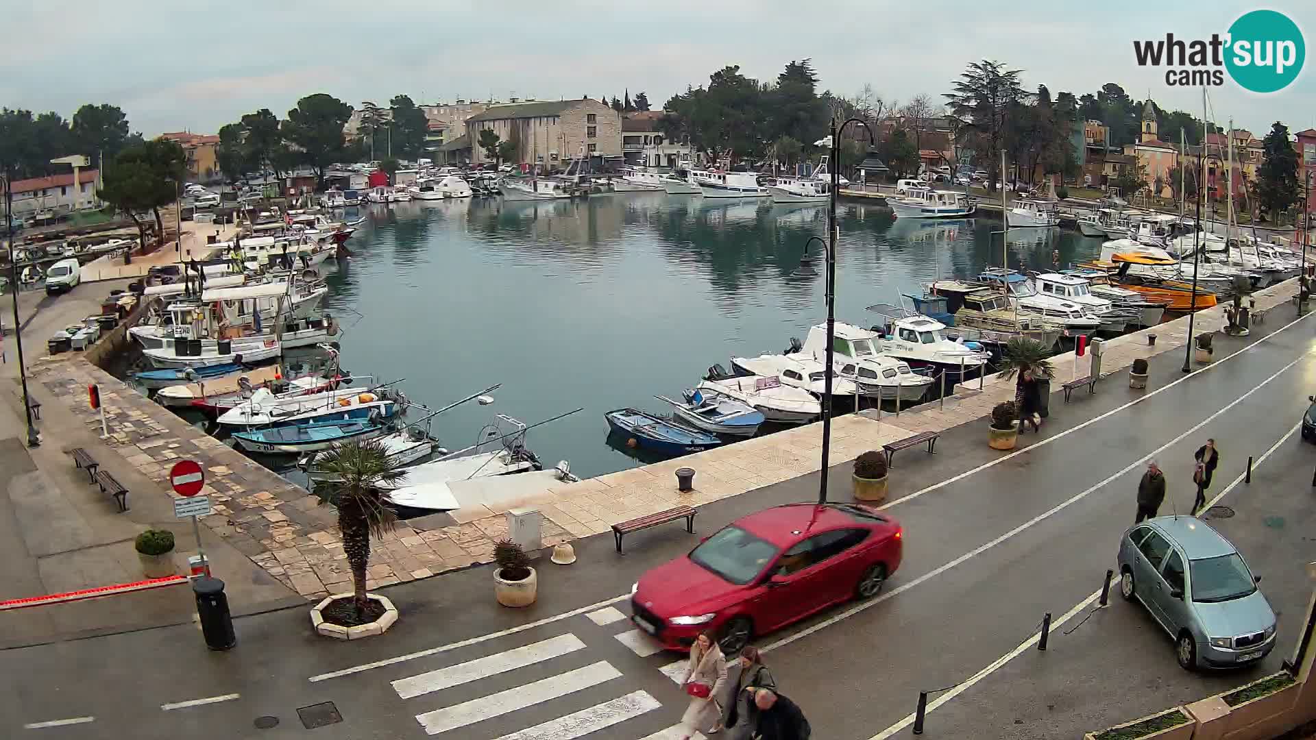 Novigrad webcam Mandrač | Cittanova in Istria – Porto vecchio