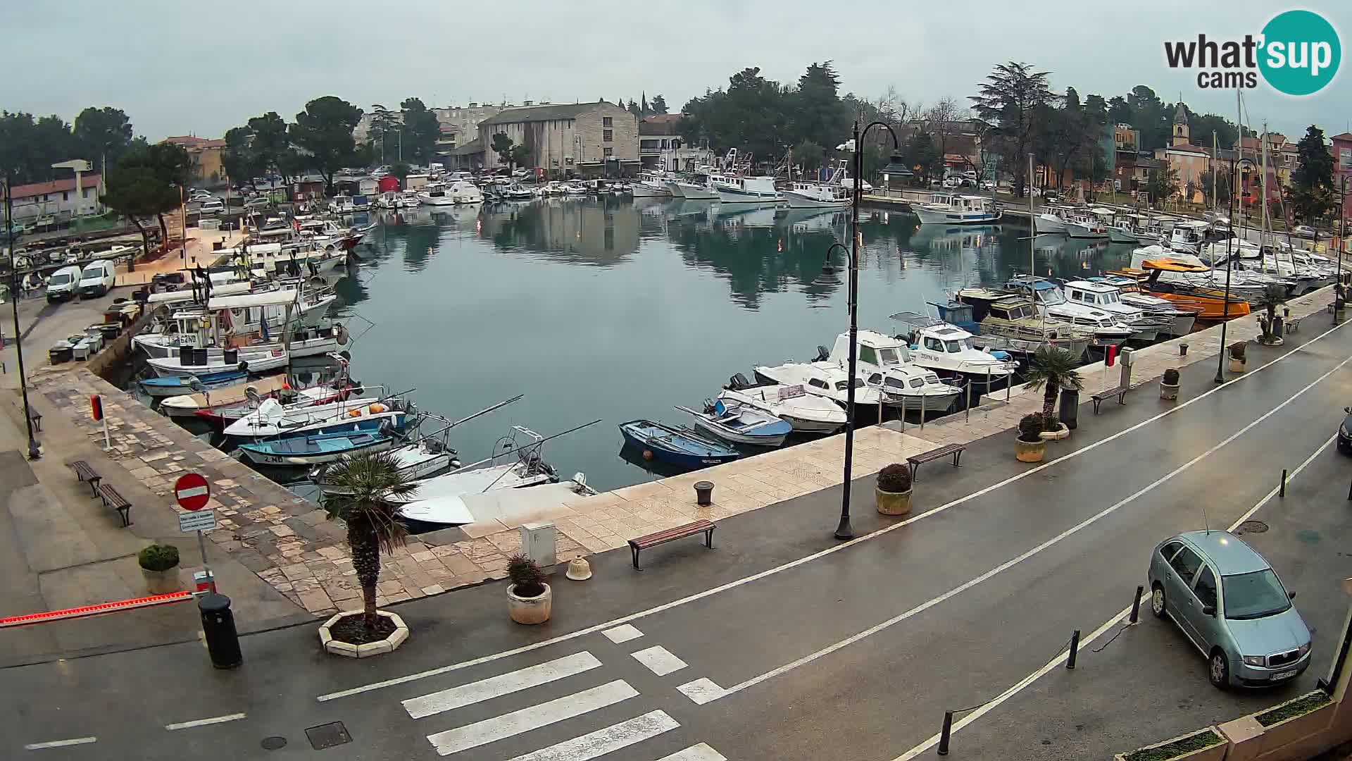 Novigrad webcam Mandrač | Cittanova in Istria – Porto vecchio