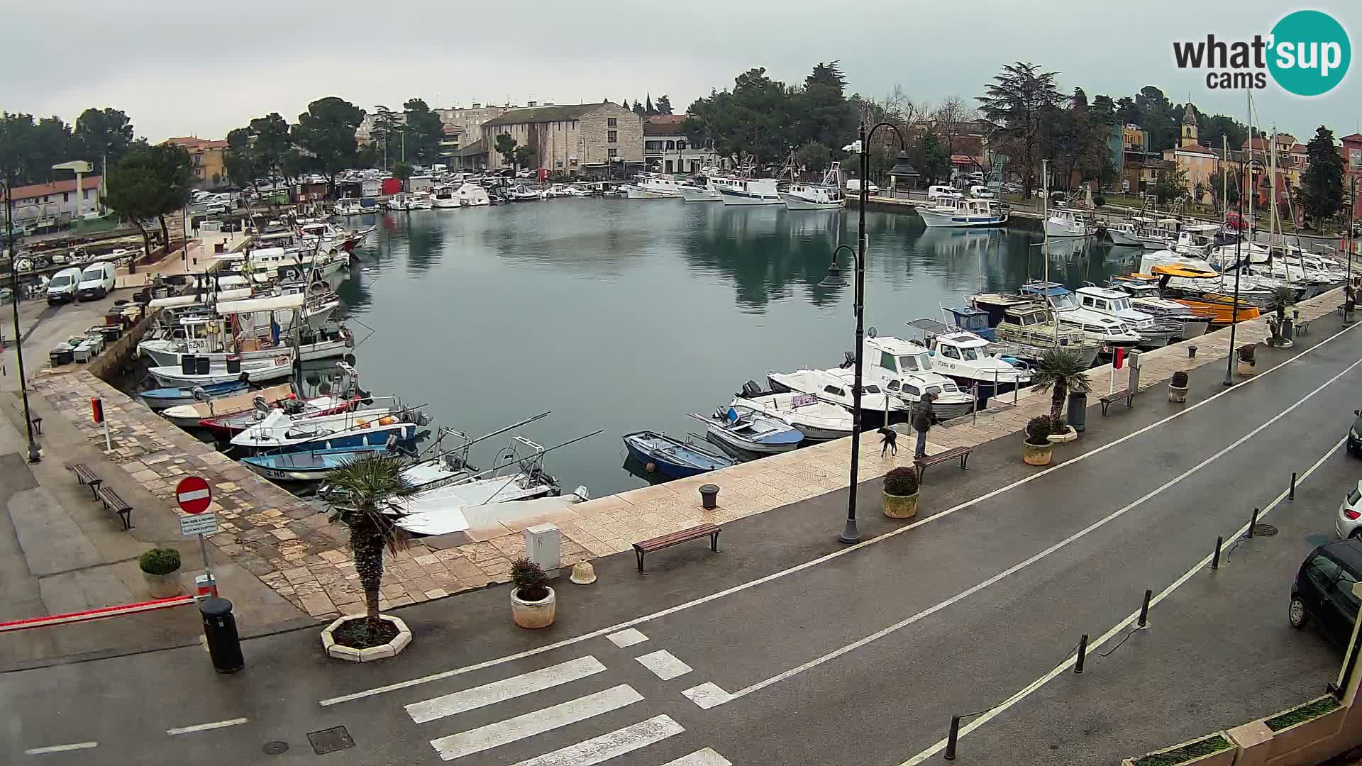 Novigrad webcam Mandrač | old marina – Istria