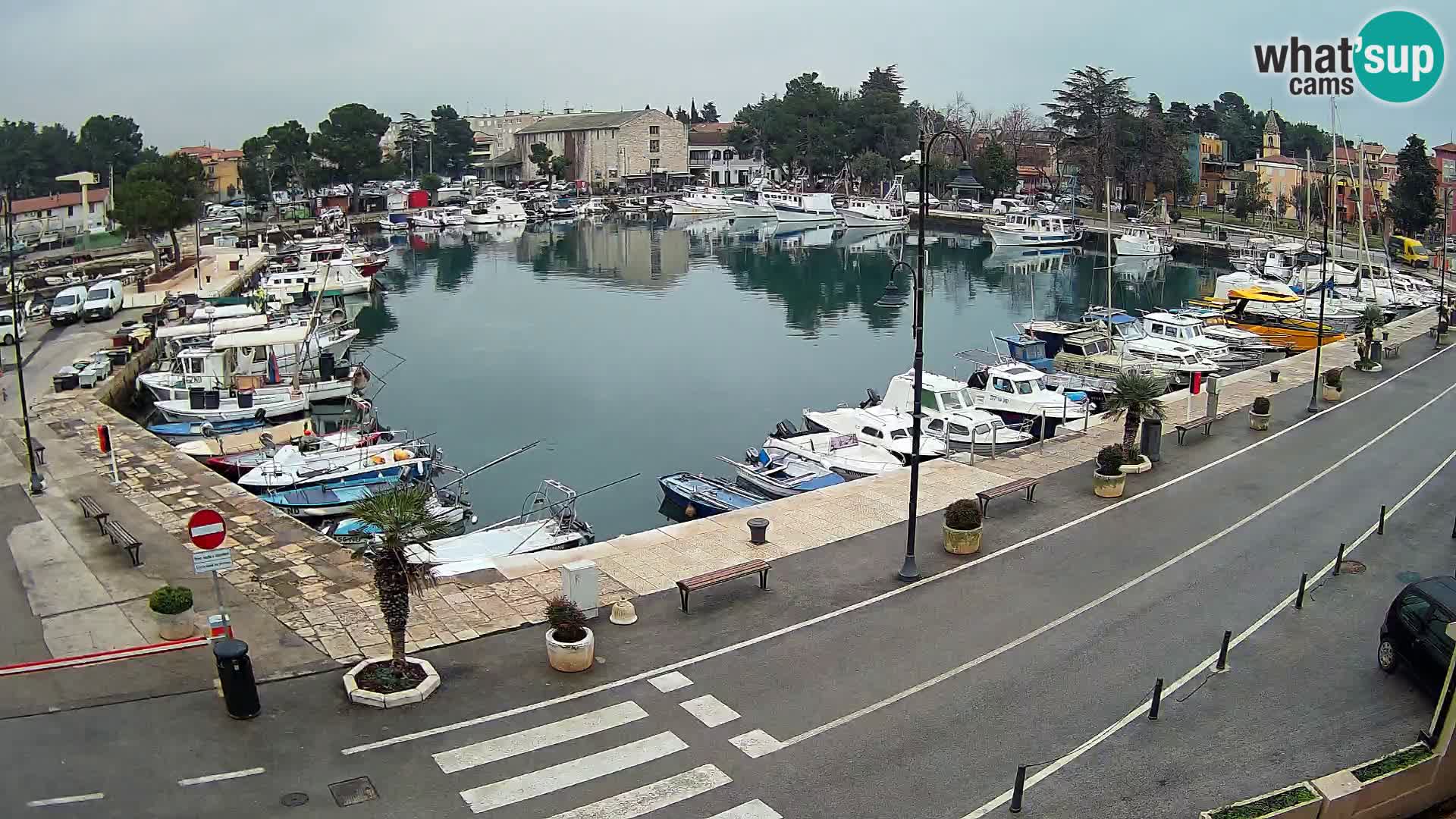 Novigrad kamera Mandrač – Istra