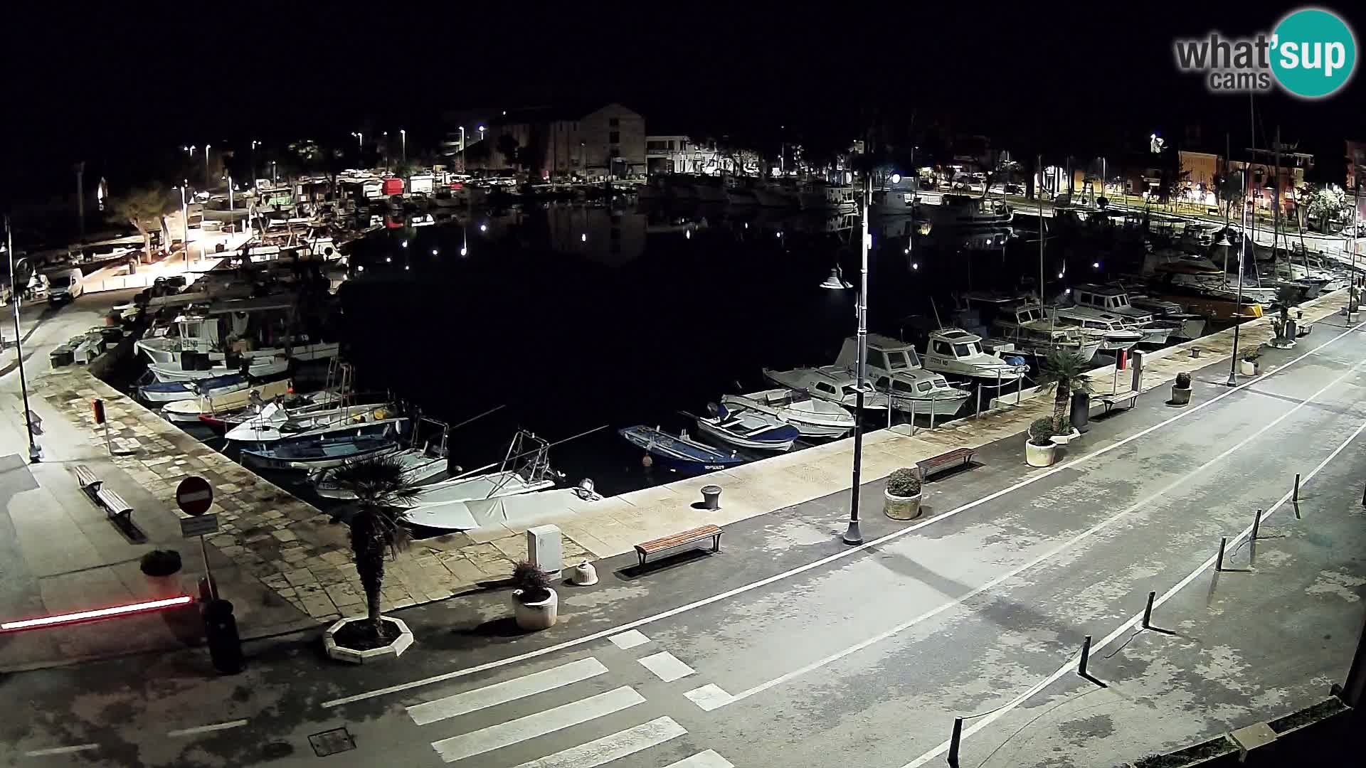 Novigrad webcam Mandrač | Cittanova in Istria – Porto vecchio