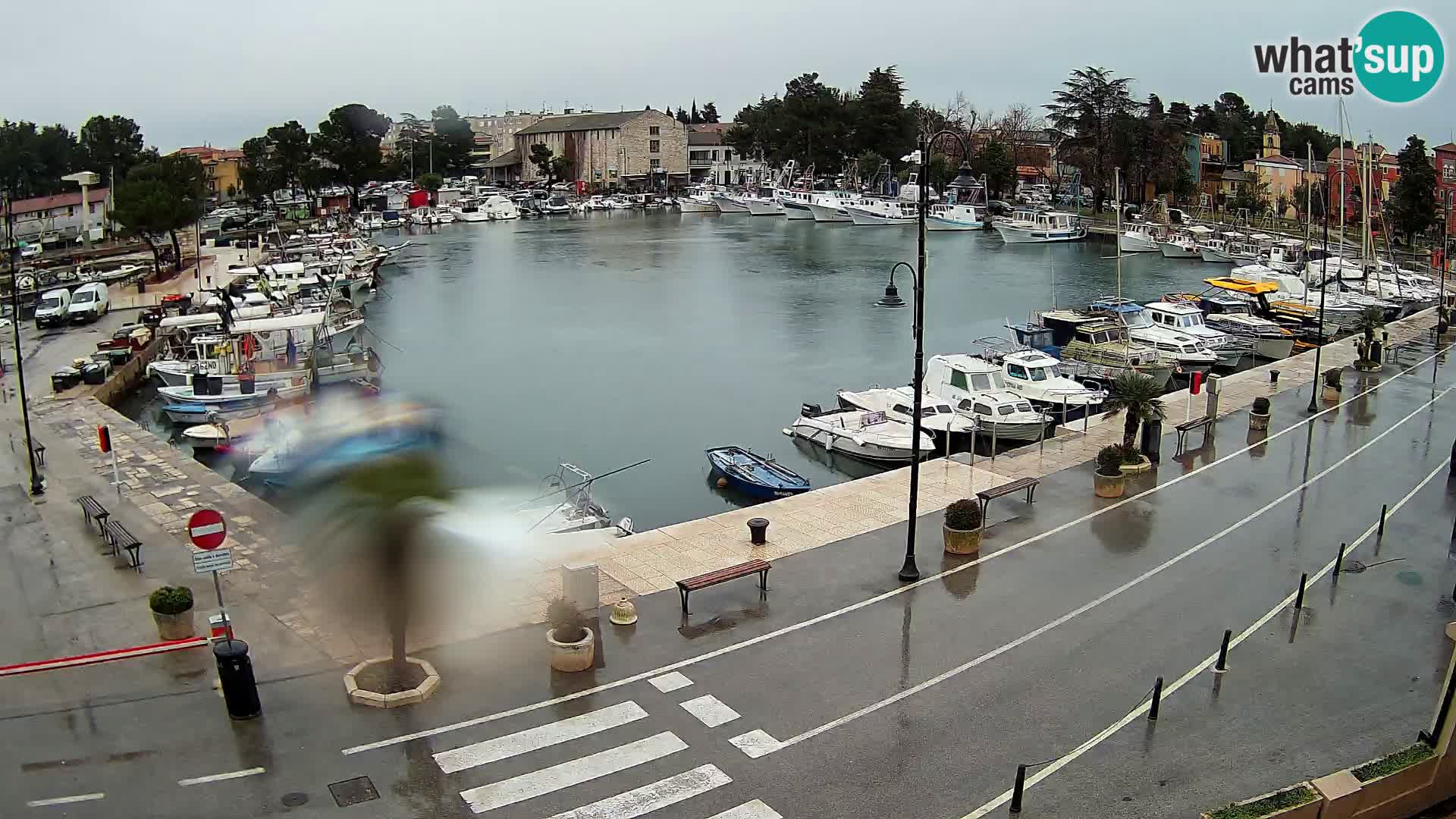 Novigrad webcam Mandrač | Cittanova in Istria – Porto vecchio