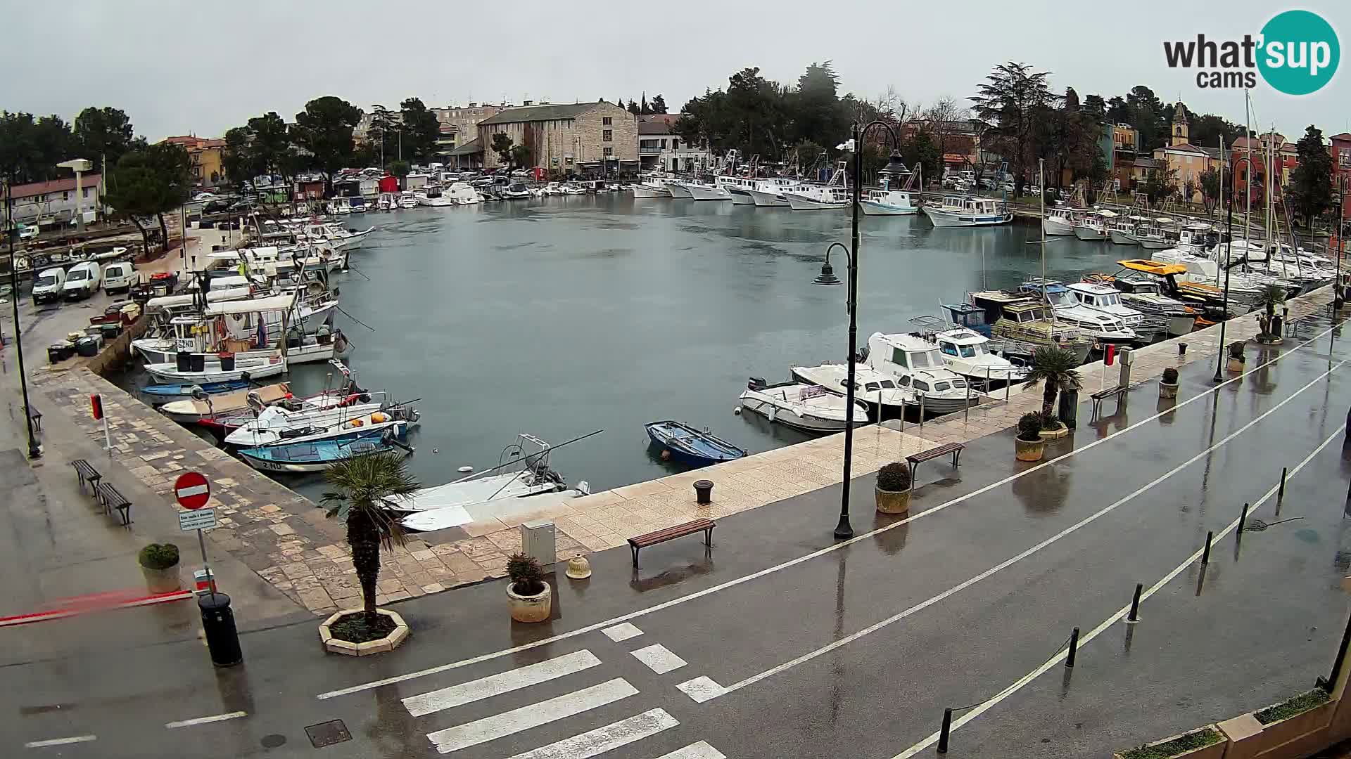 Novigrad webcam Mandrač | old marina – Istria