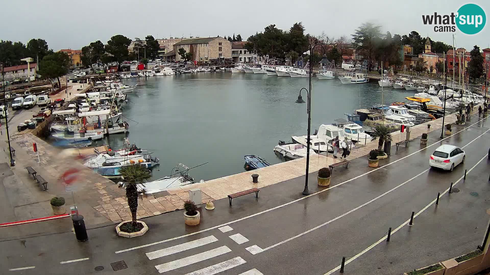 Novigrad webcam Mandrač | old marina – Istria