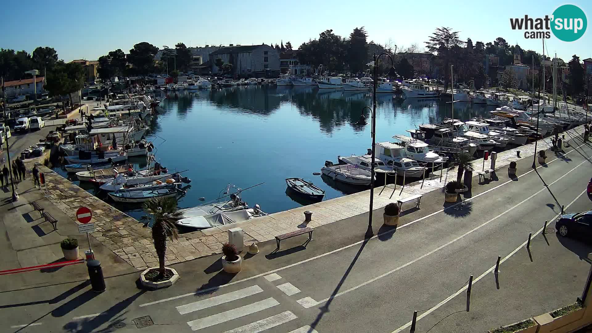 Novigrad webcam Mandrač | Cittanova in Istria – Porto vecchio