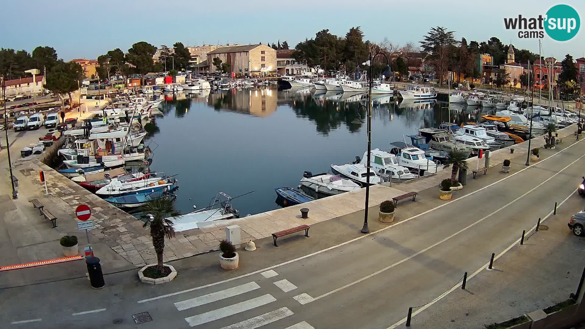 Novigrad webcam Mandrač | Cittanova in Istria – Porto vecchio