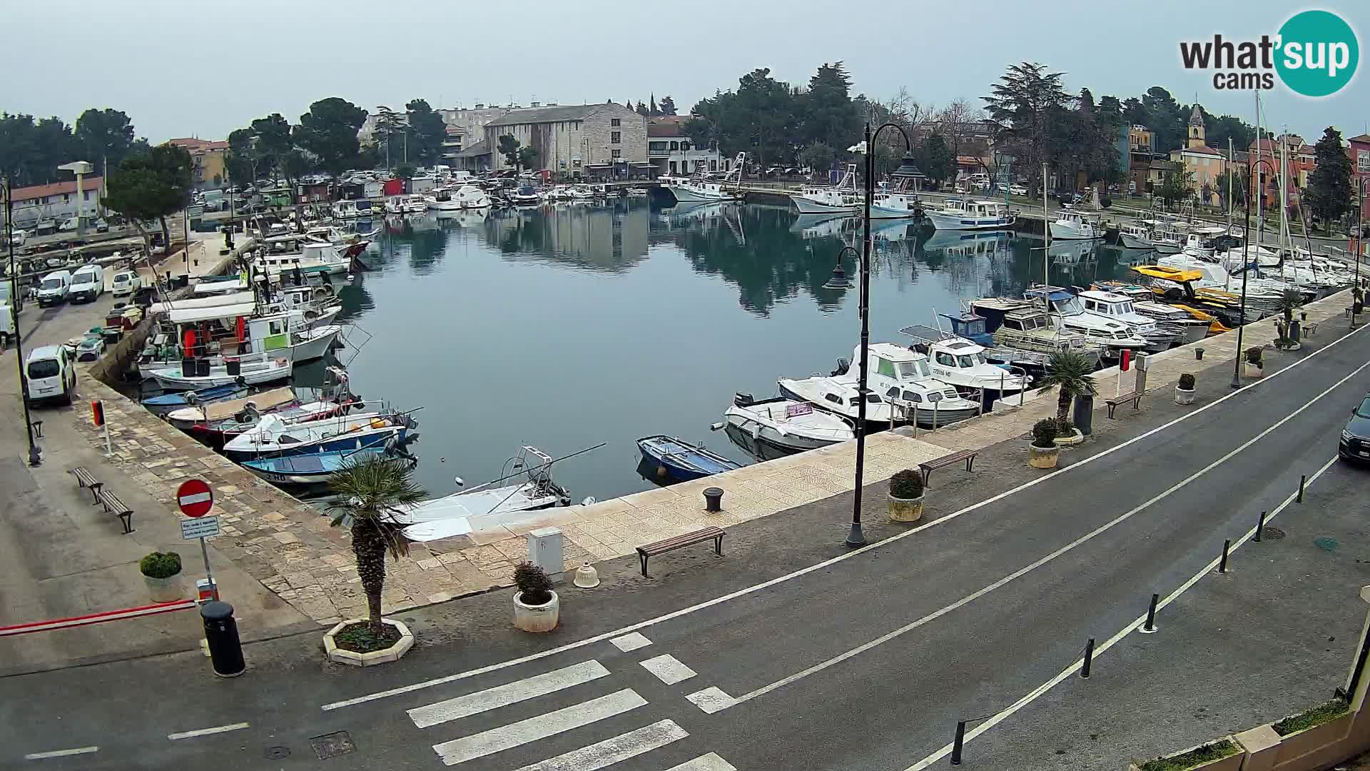 Novigrad webcam Mandrač | alten Hafen – Istrien