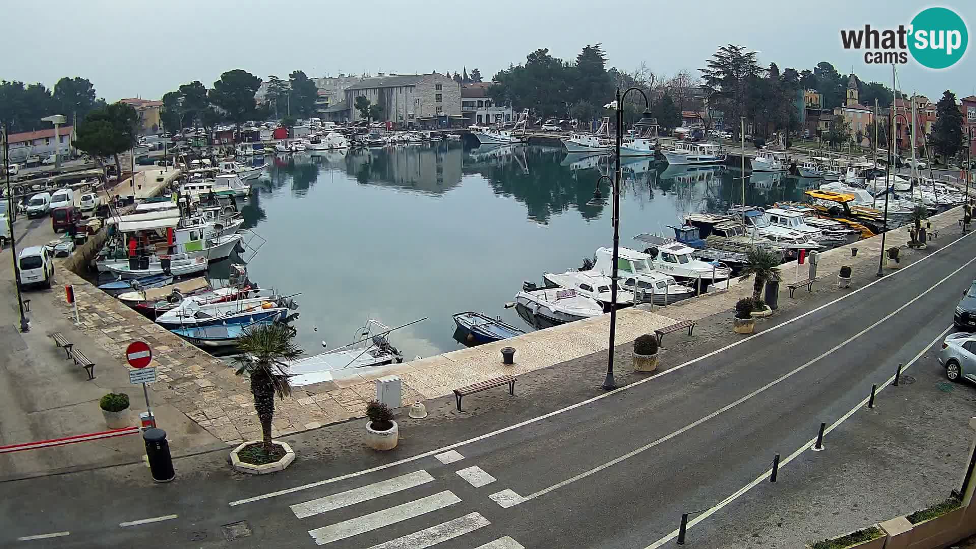 Novigrad webcam Mandrač | Cittanova in Istria – Porto vecchio