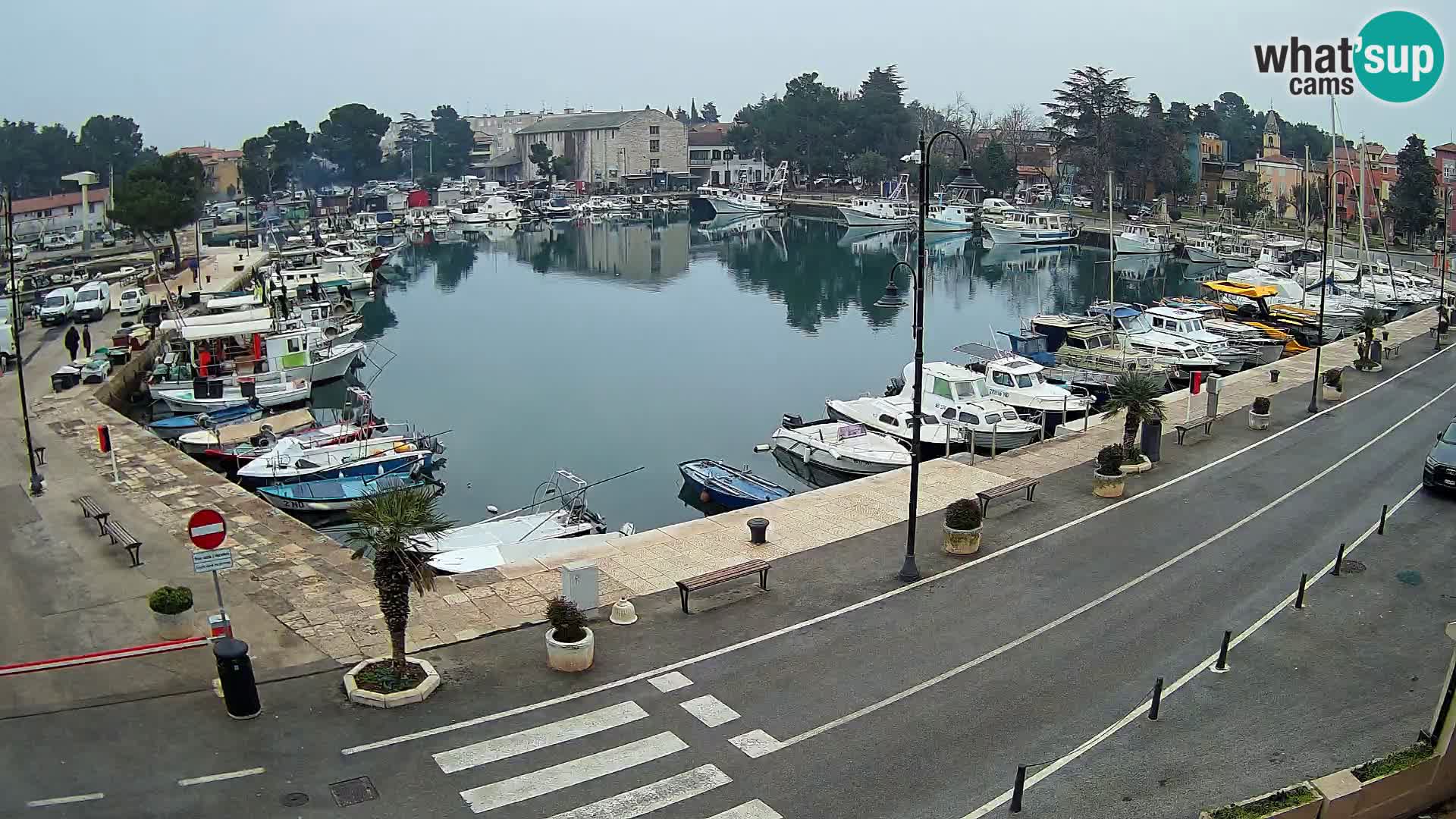 Novigrad webcam Mandrač | alten Hafen – Istrien