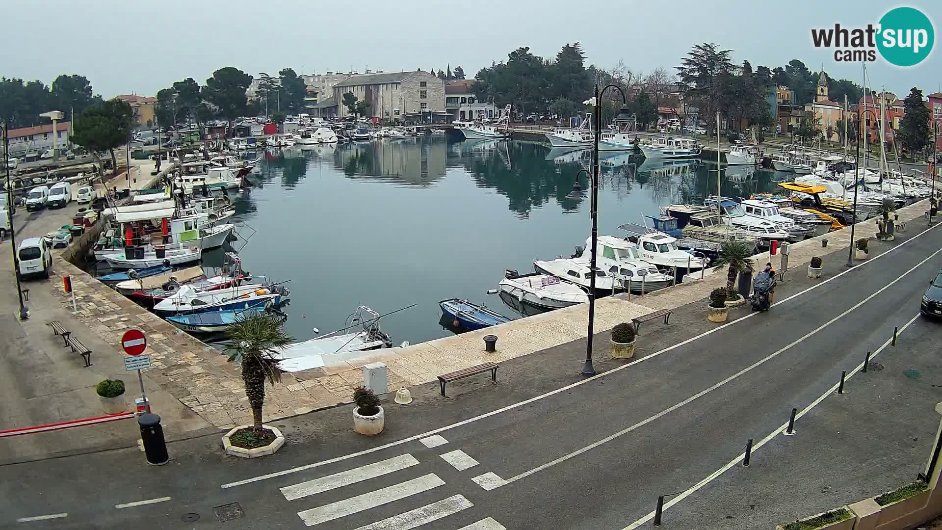 Novigrad webcam Mandrač | Cittanova in Istria – Porto vecchio