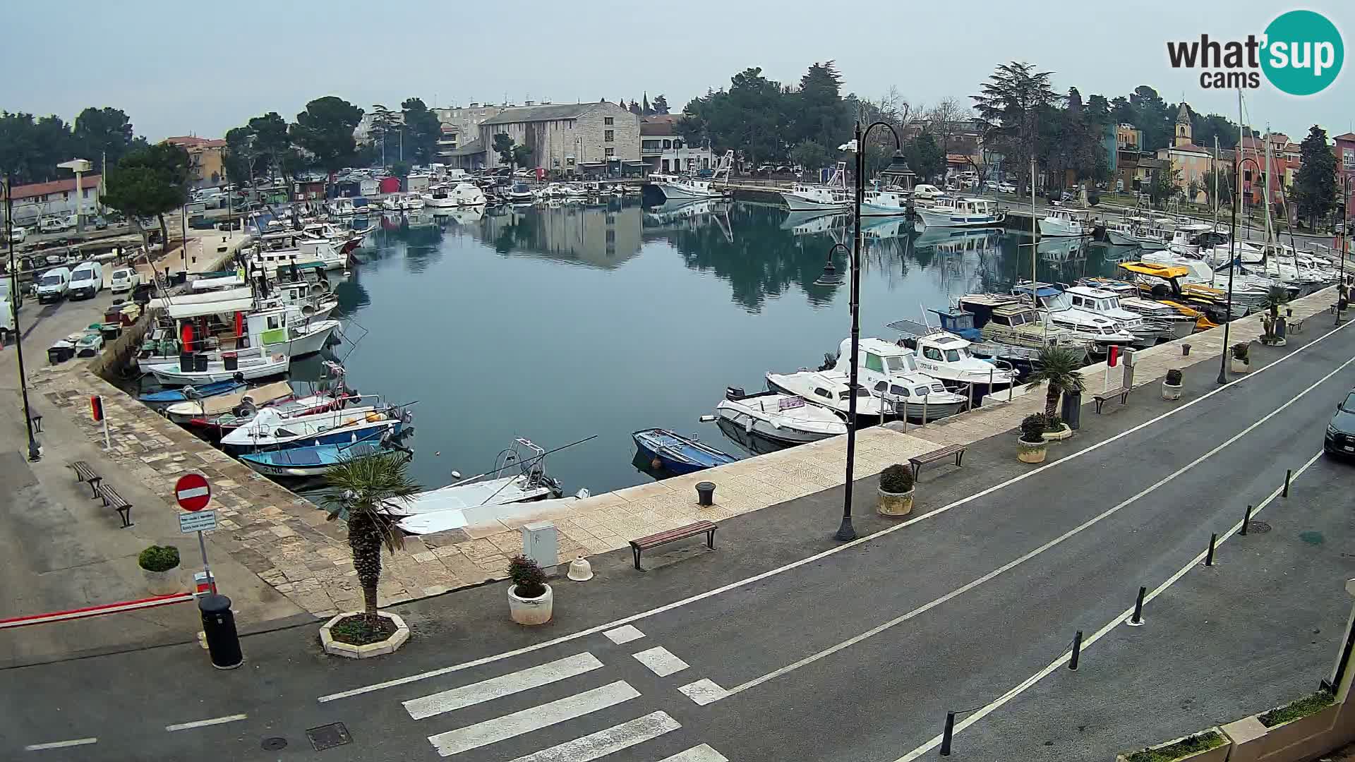 Novigrad webcam Mandrač | alten Hafen – Istrien