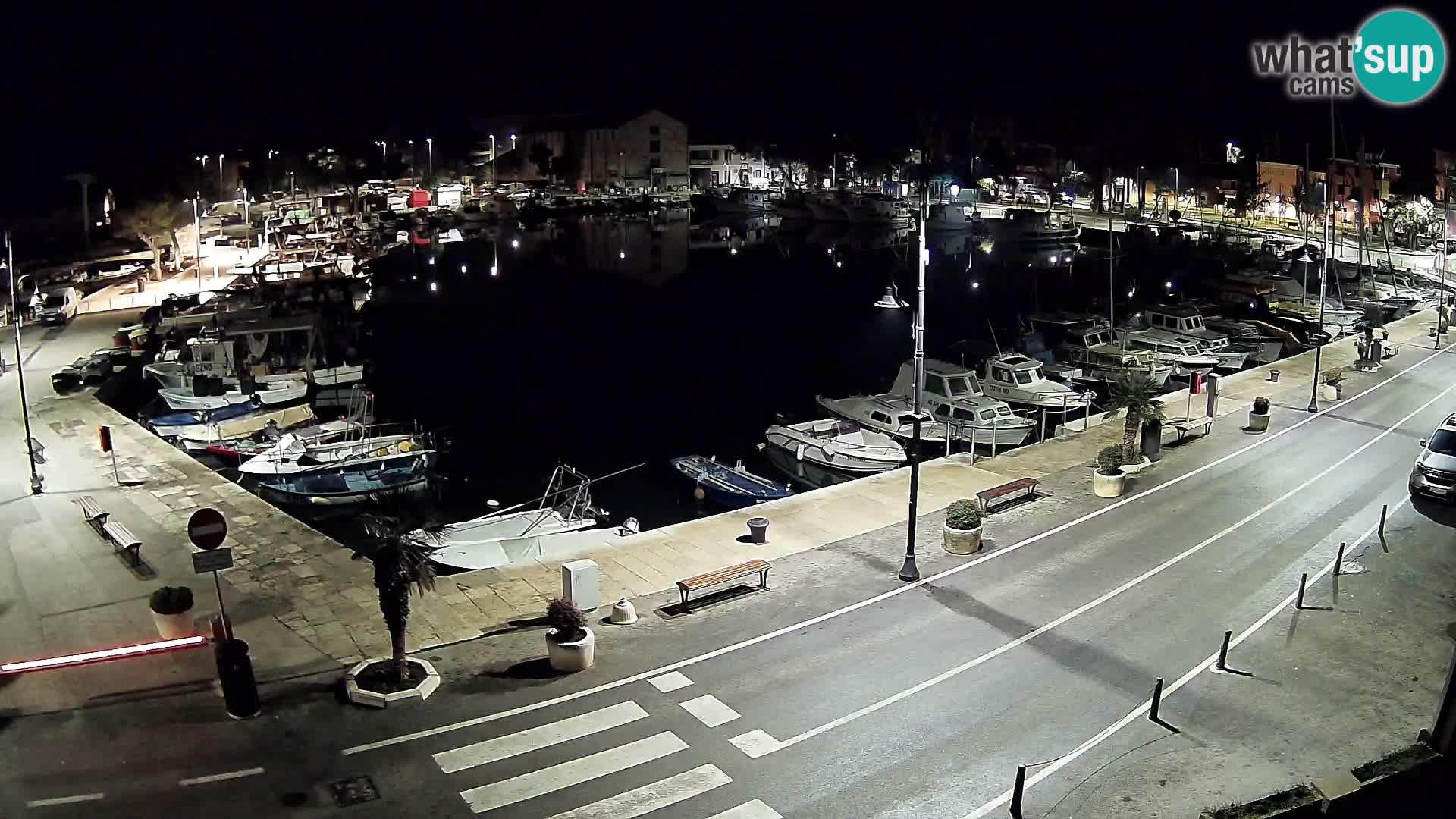 Novigrad webcam Mandrač | Cittanova in Istria – Porto vecchio