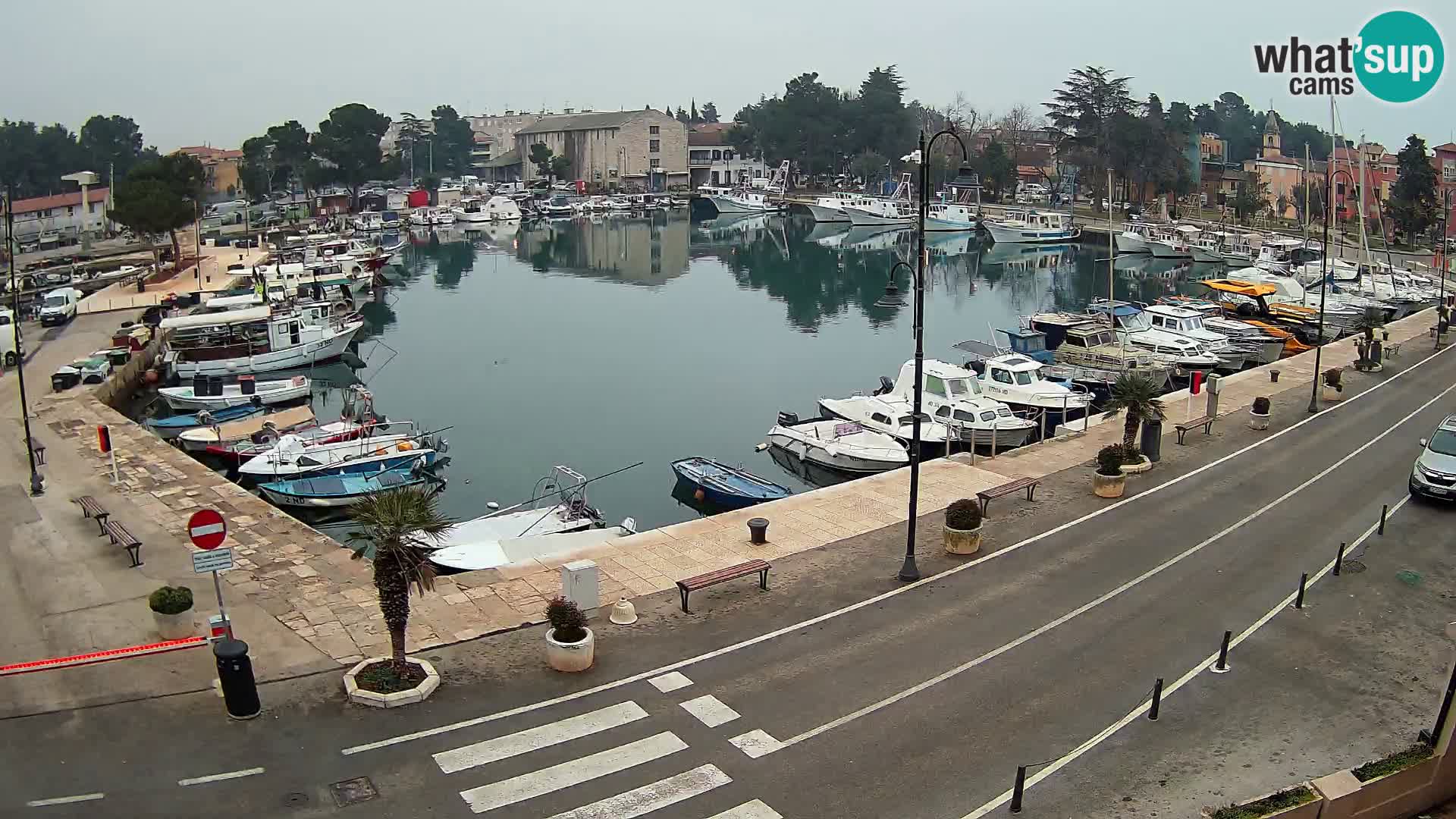 Novigrad webcam Mandrač | Cittanova in Istria – Porto vecchio