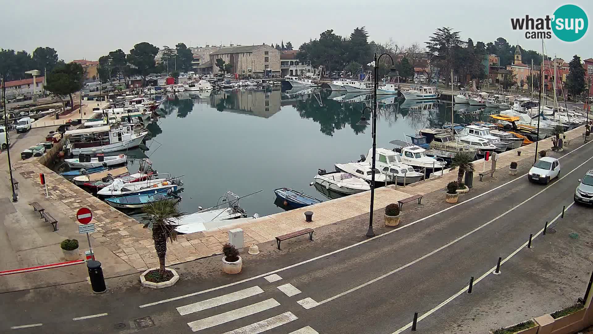 Novigrad kamera Mandrač – Istra