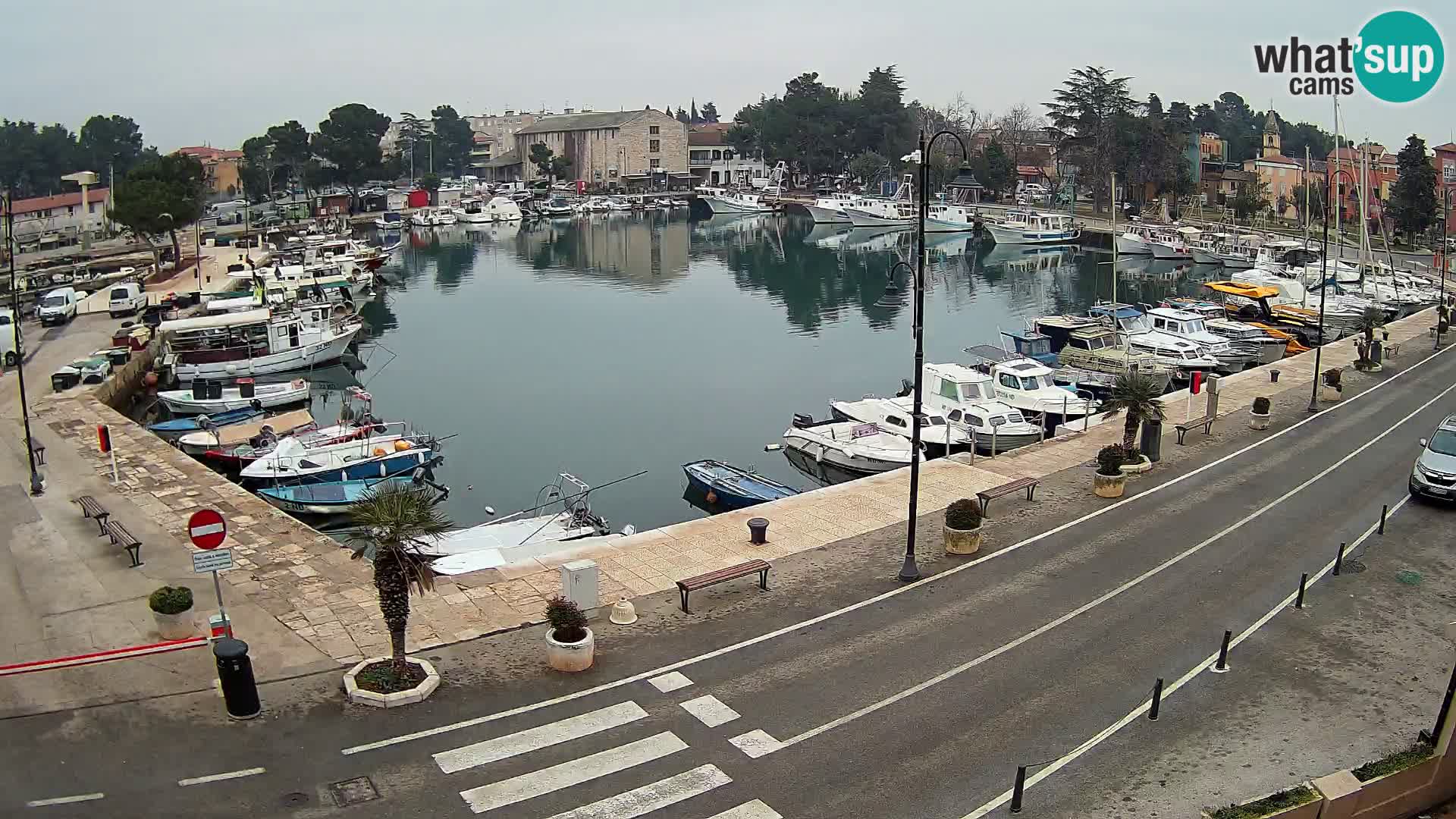 Novigrad webcam Mandrač | Cittanova in Istria – Porto vecchio