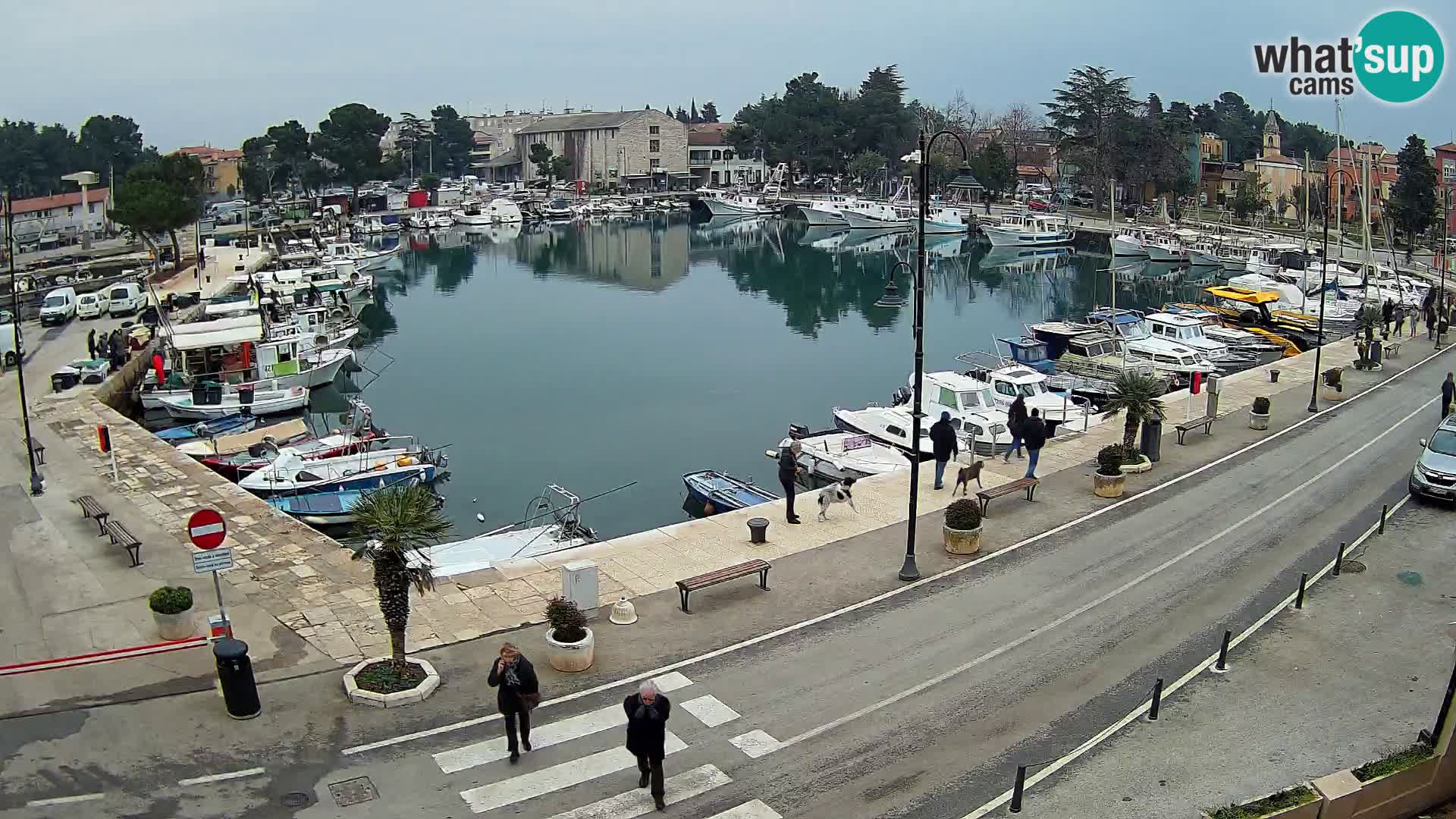 Novigrad webcam Mandrač | old marina – Istria