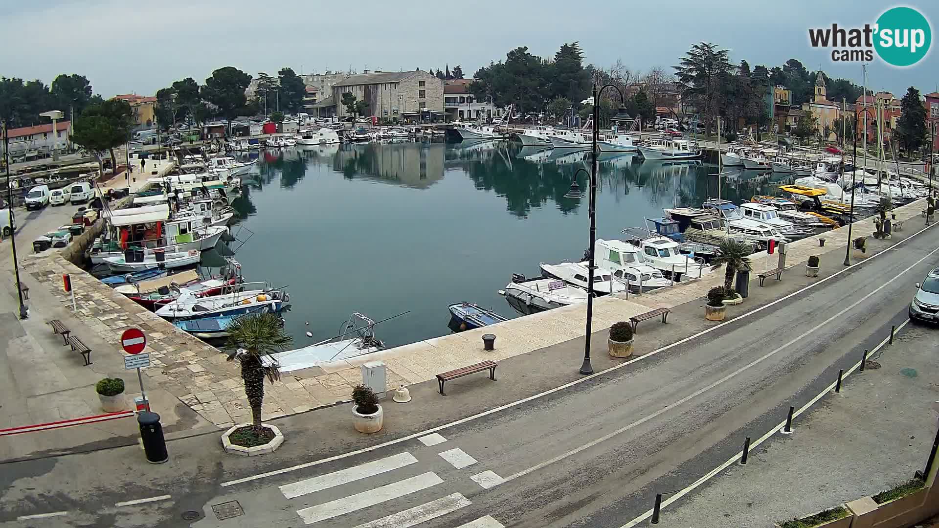 Novigrad webcam Mandrač | Cittanova in Istria – Porto vecchio