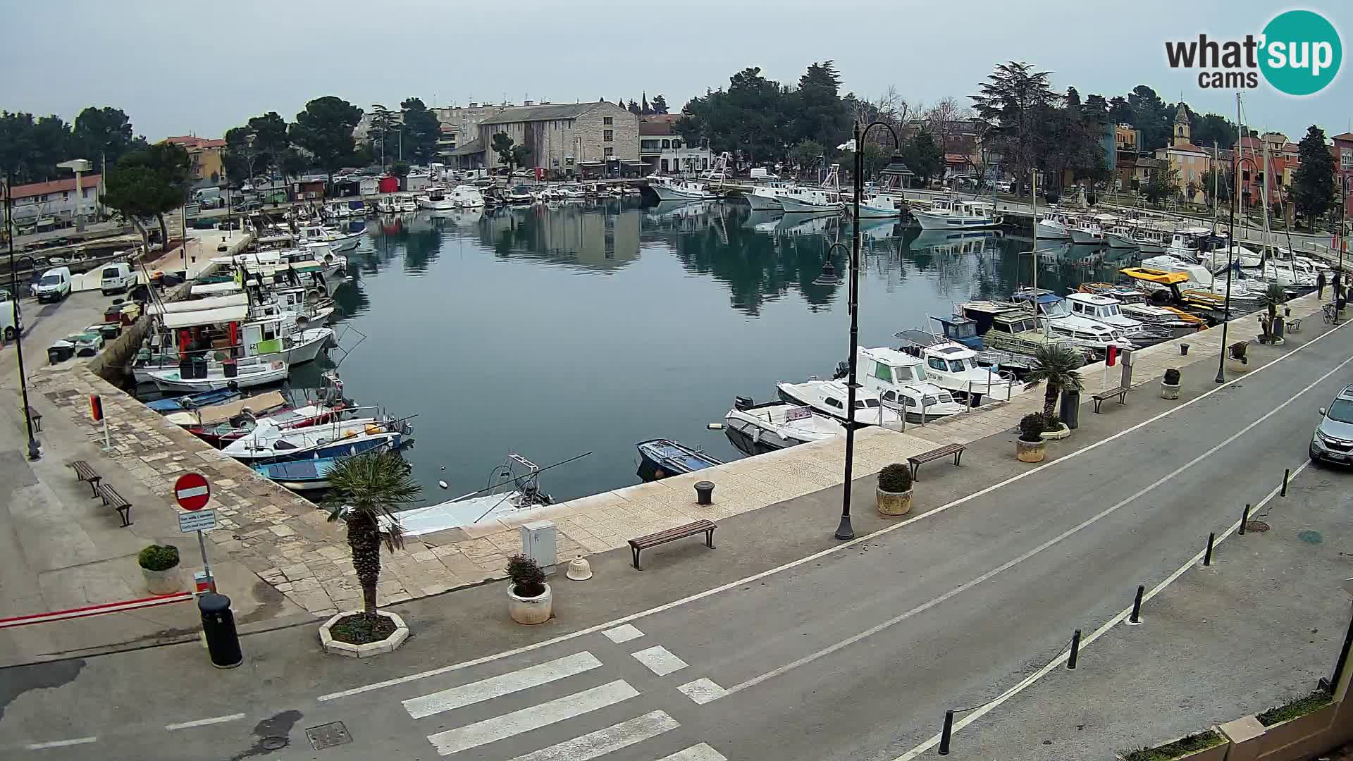 Novigrad webcam Mandrač | alten Hafen – Istrien