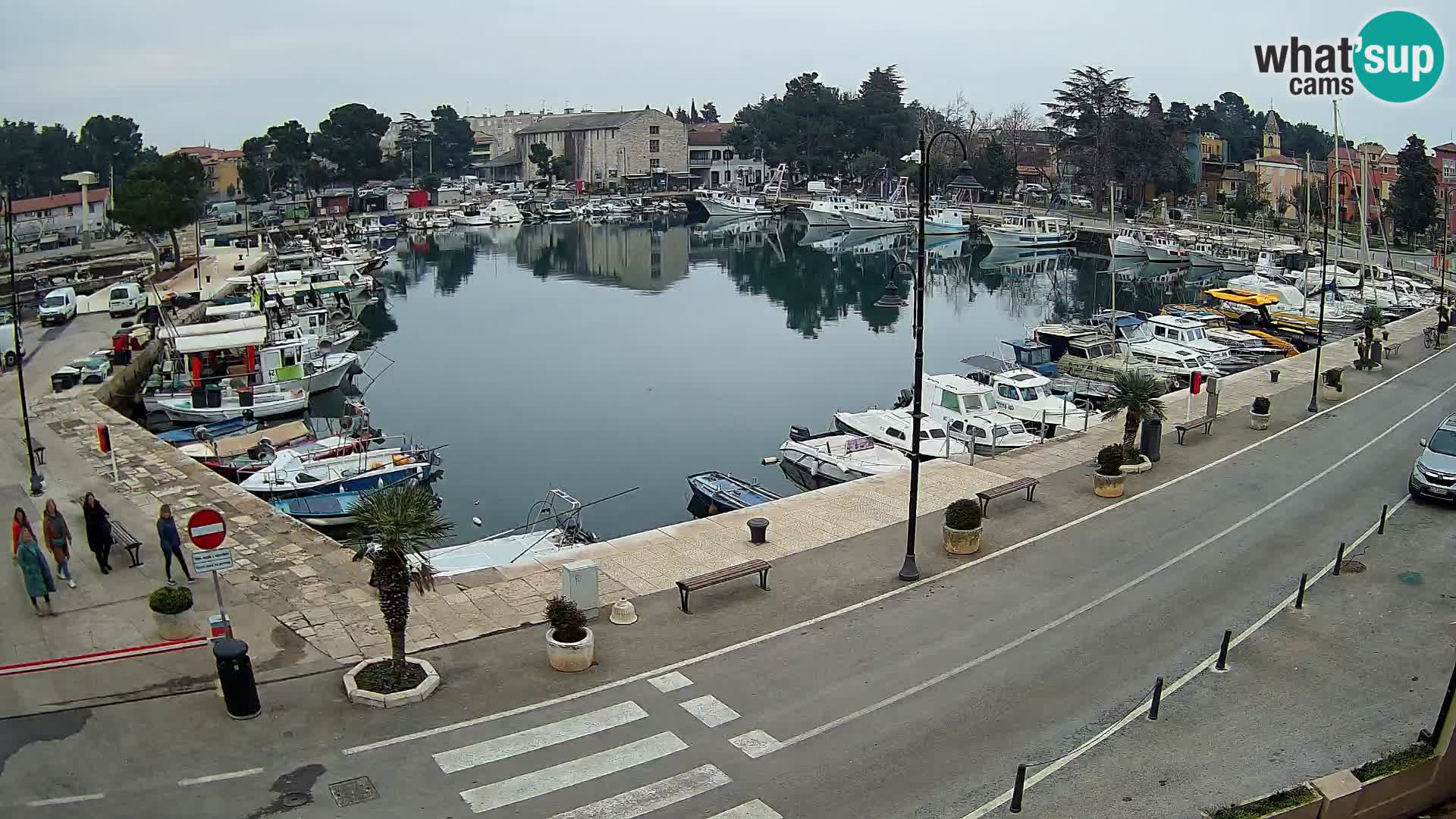 Novigrad webcam Mandrač | Cittanova in Istria – Porto vecchio