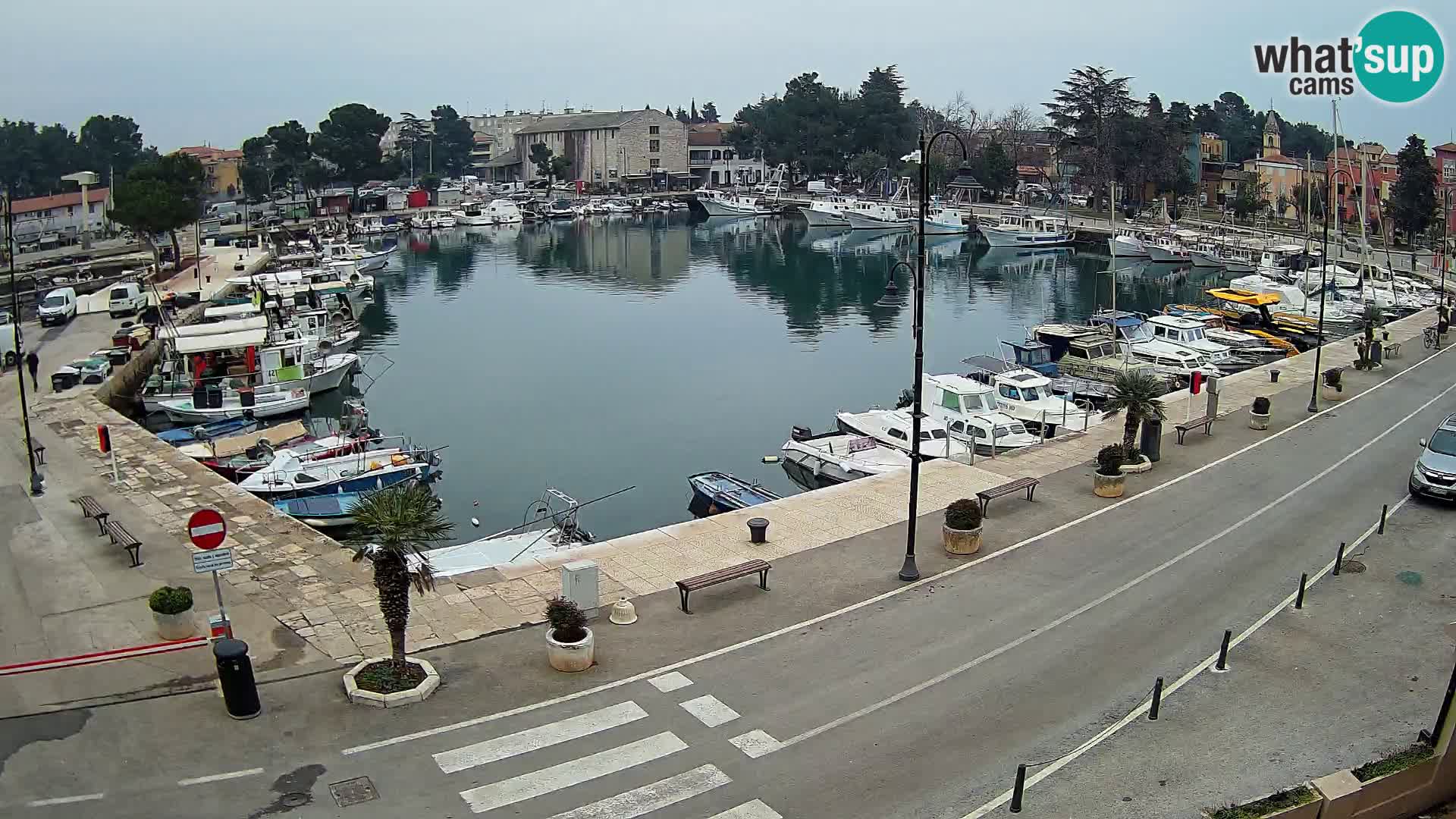 Novigrad webcam Mandrač | alten Hafen – Istrien