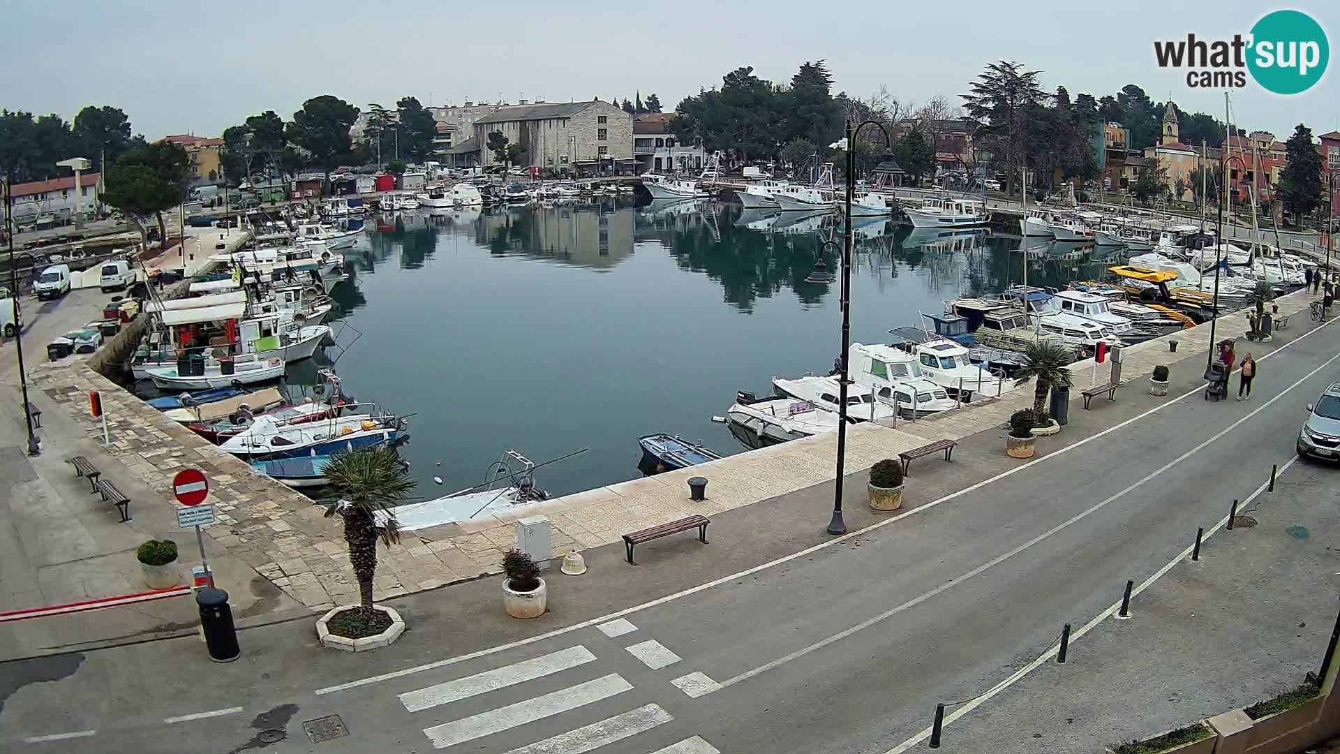 Novigrad webcam Mandrač | Cittanova in Istria – Porto vecchio