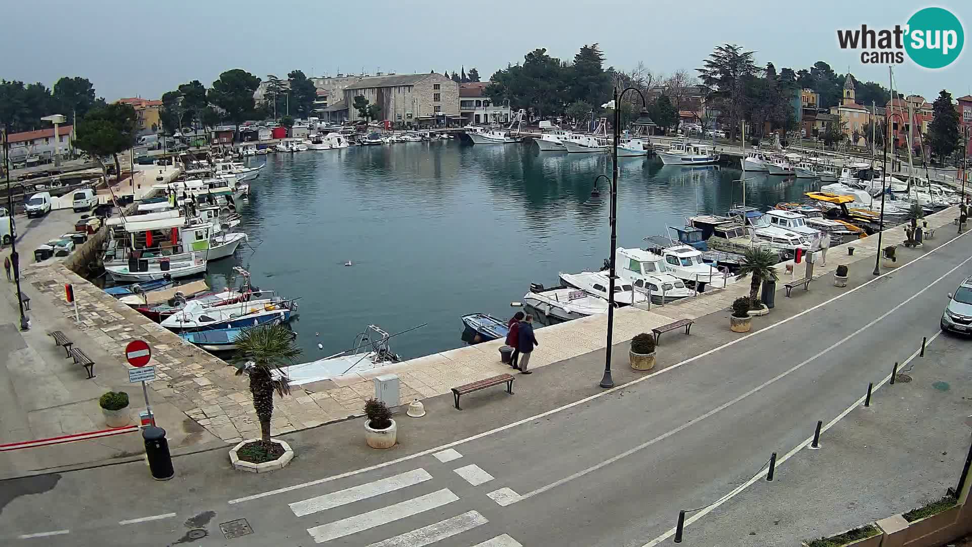 Novigrad webcam Mandrač | Cittanova in Istria – Porto vecchio