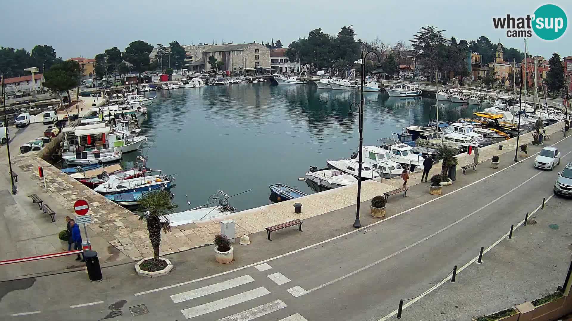 Novigrad webcam Mandrač | old marina – Istria