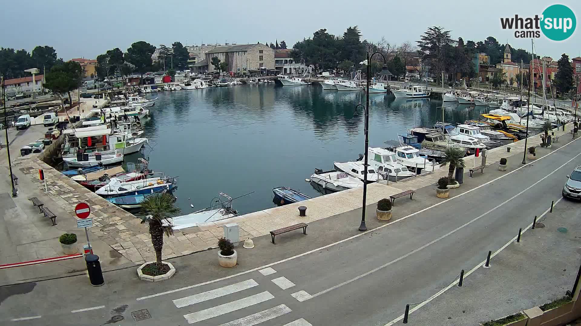 Novigrad –  Mandrač