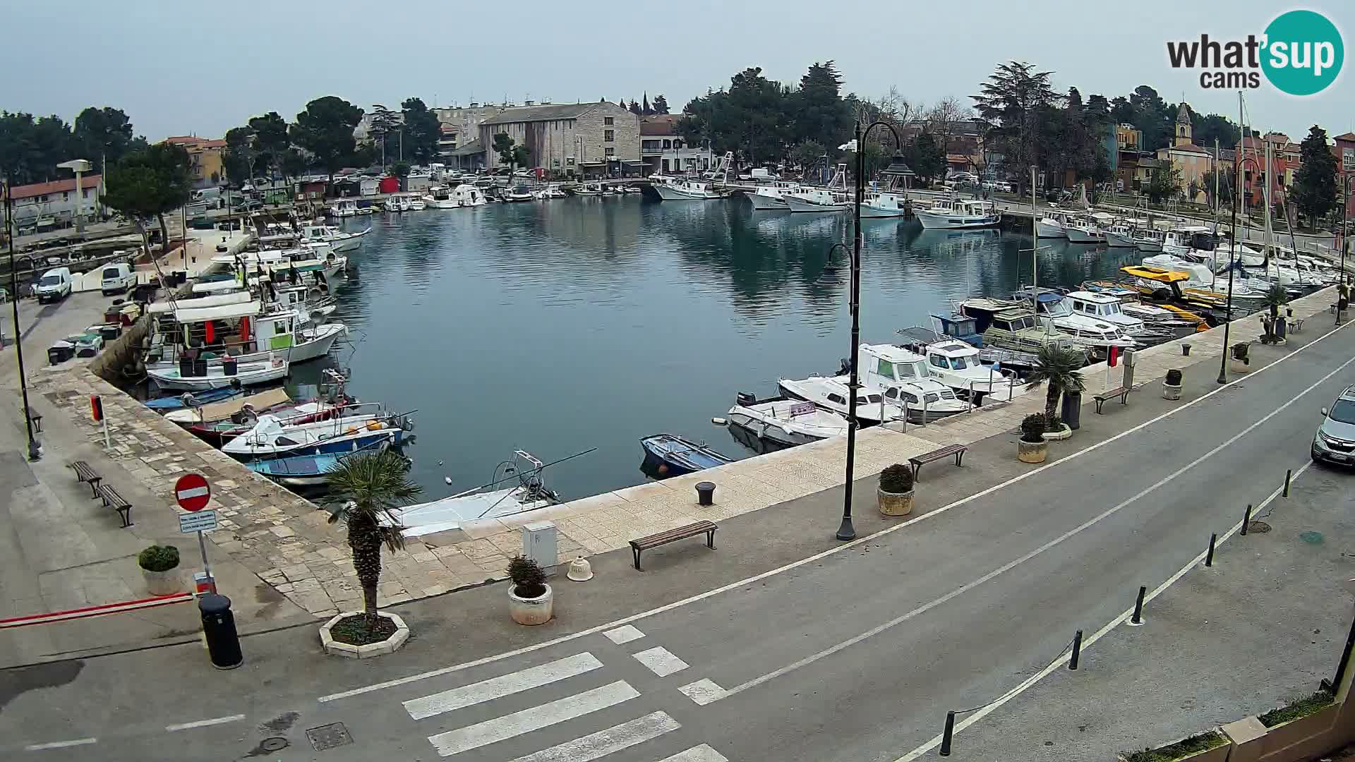 Novigrad webcam Mandrač | Cittanova in Istria – Porto vecchio