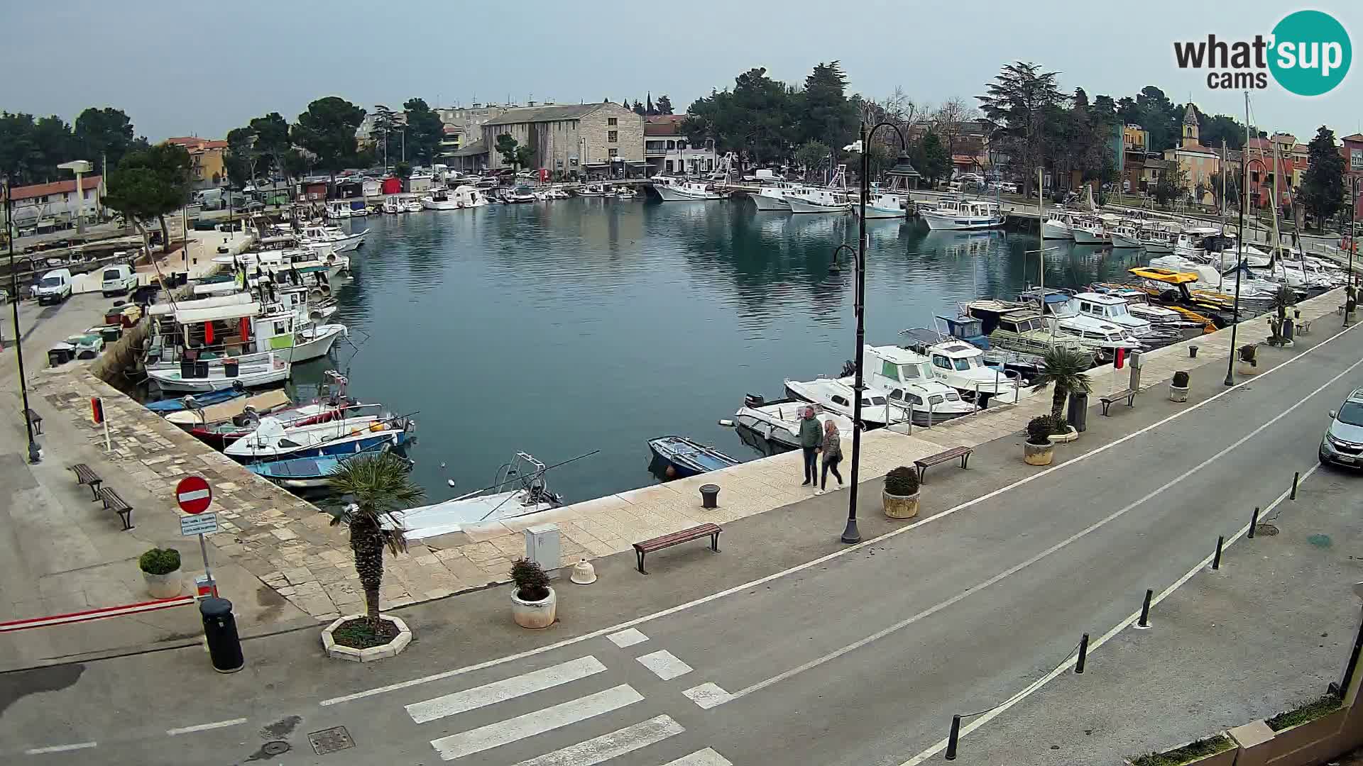 Novigrad webcam Mandrač | alten Hafen – Istrien