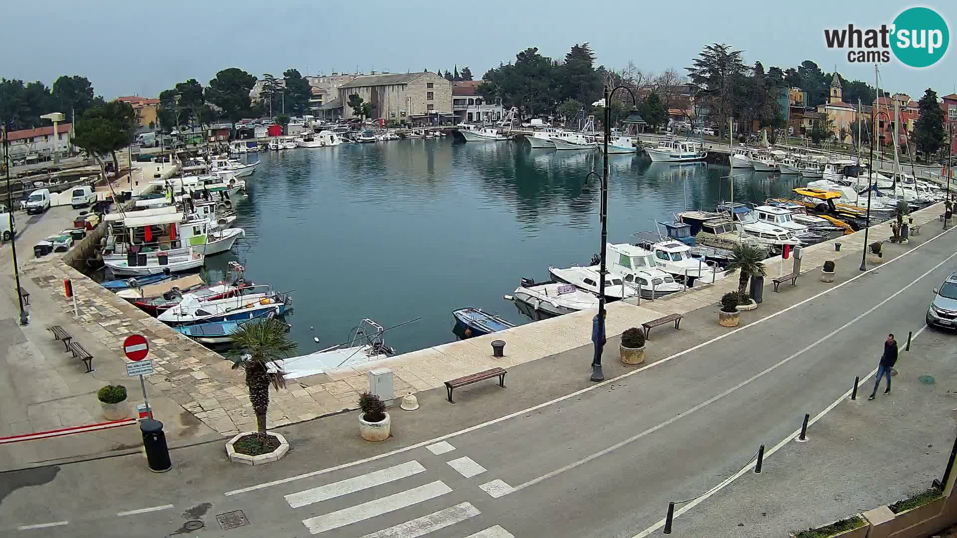 Novigrad webcam Mandrač | alten Hafen – Istrien