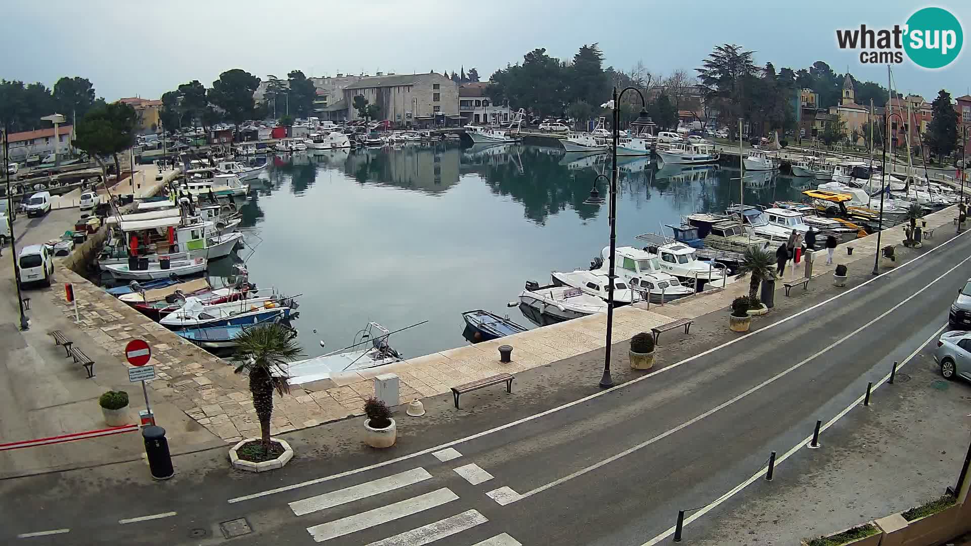 Novigrad webcam Mandrač | Cittanova in Istria – Porto vecchio