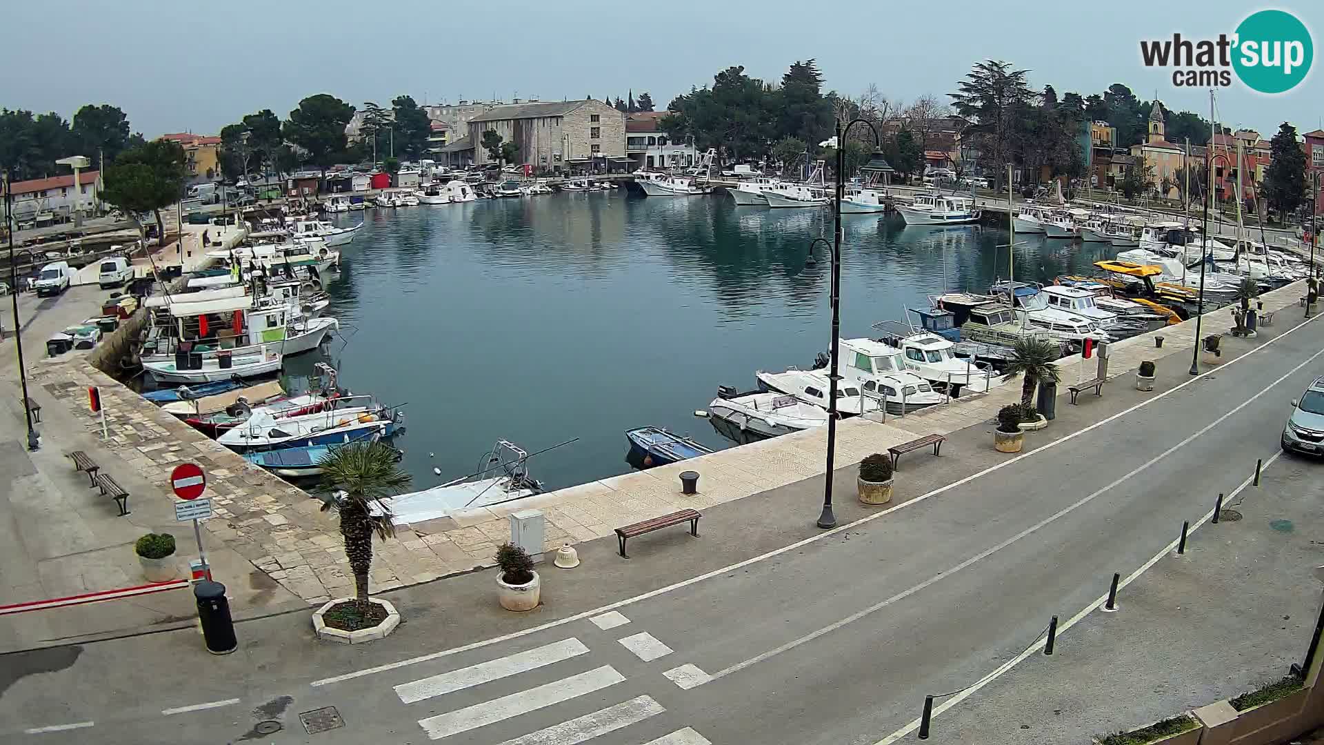 Novigrad webcam Mandrač | Cittanova in Istria – Porto vecchio