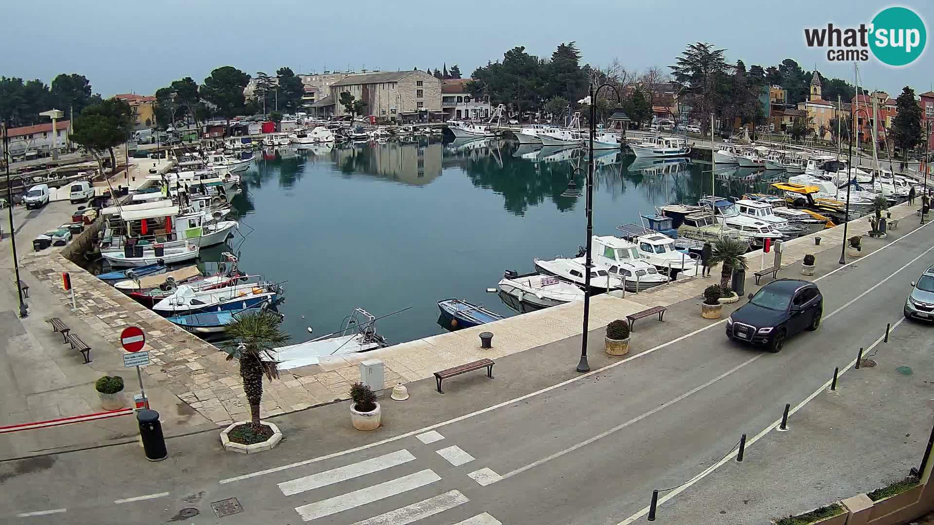 Novigrad webcam Mandrač | Cittanova in Istria – Porto vecchio