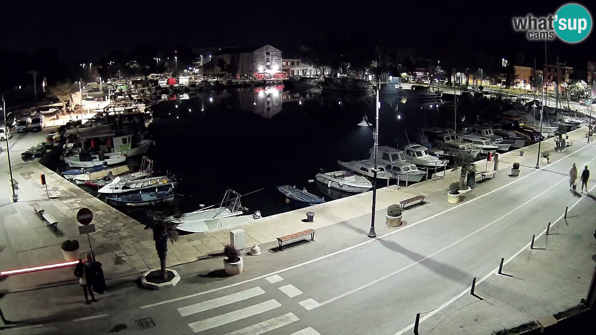 Novigrad webcam Mandrač | Cittanova in Istria – Porto vecchio