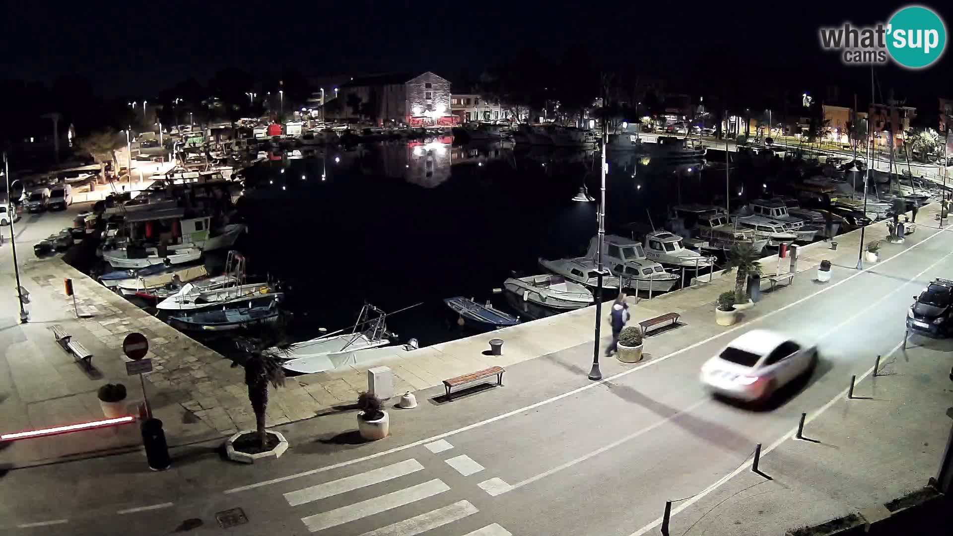 Novigrad webcam Mandrač | alten Hafen – Istrien