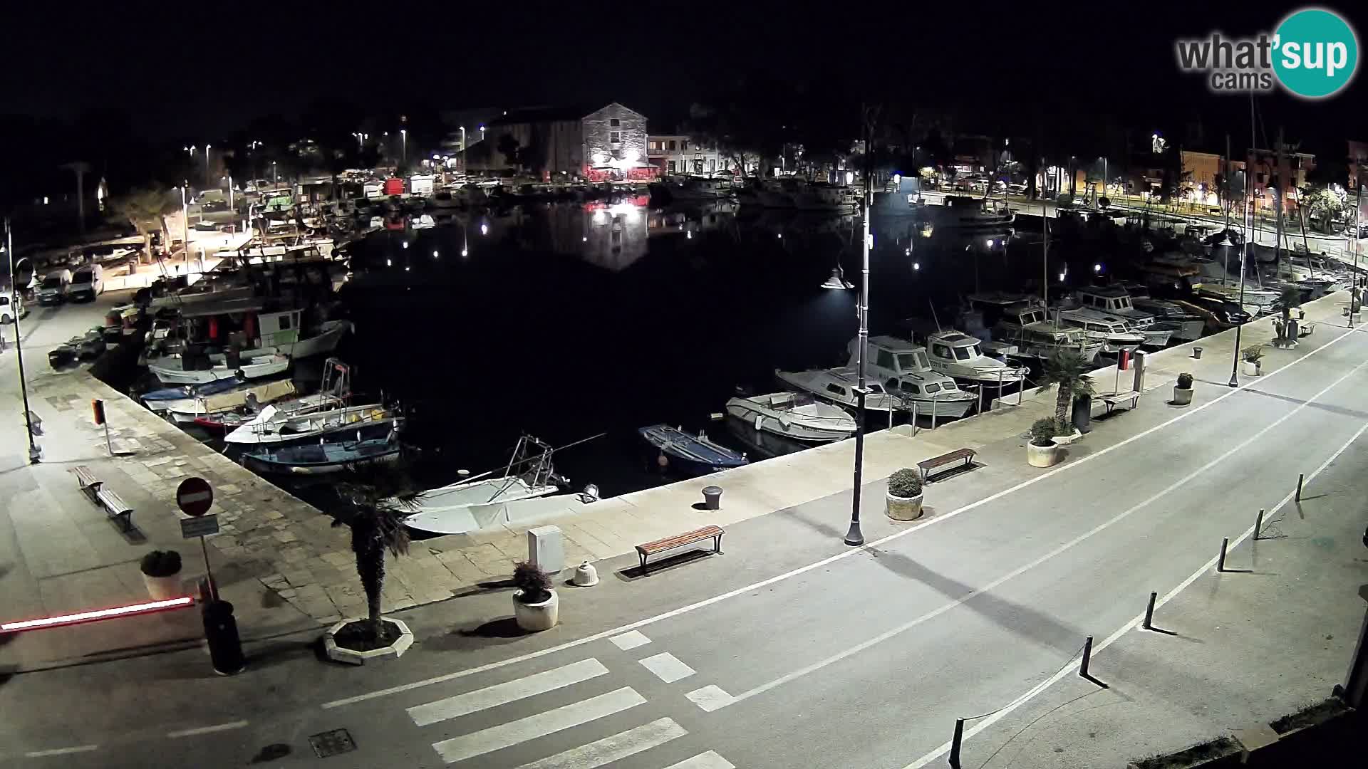 Novigrad webcam Mandrač | Cittanova in Istria – Porto vecchio